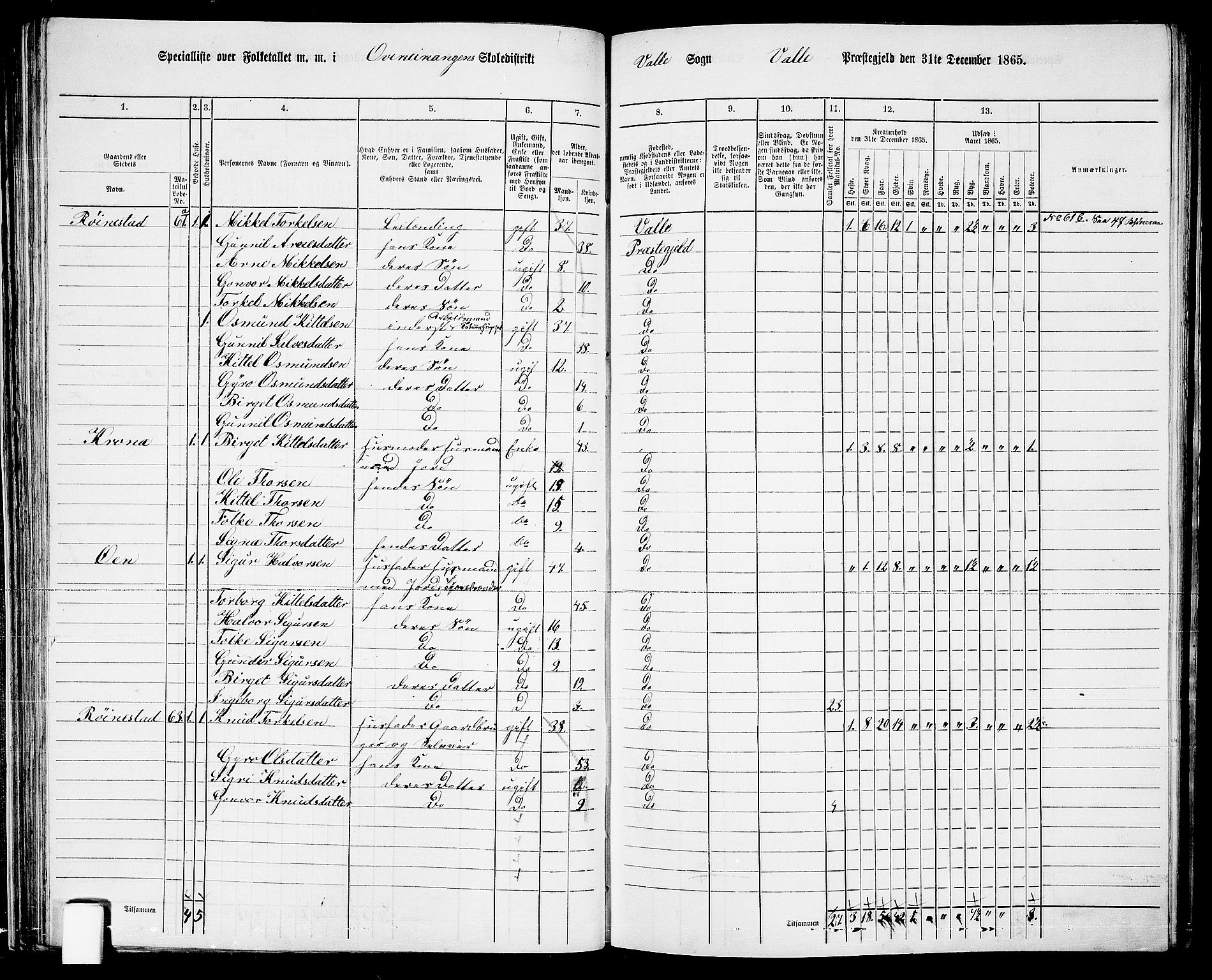 RA, 1865 census for Valle, 1865, p. 59