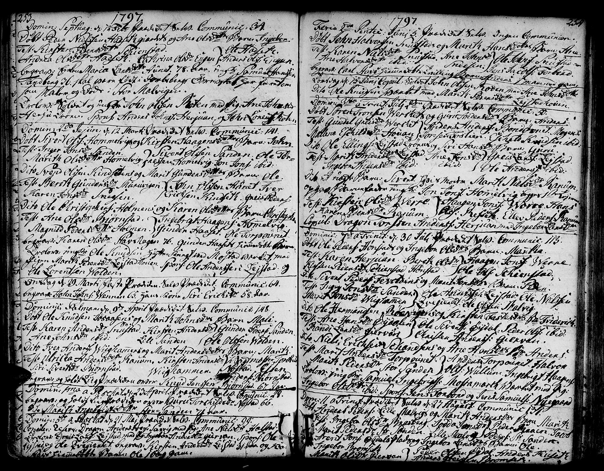Ministerialprotokoller, klokkerbøker og fødselsregistre - Sør-Trøndelag, SAT/A-1456/606/L0281: Parish register (official) no. 606A02 /2, 1781-1817, p. 253-254