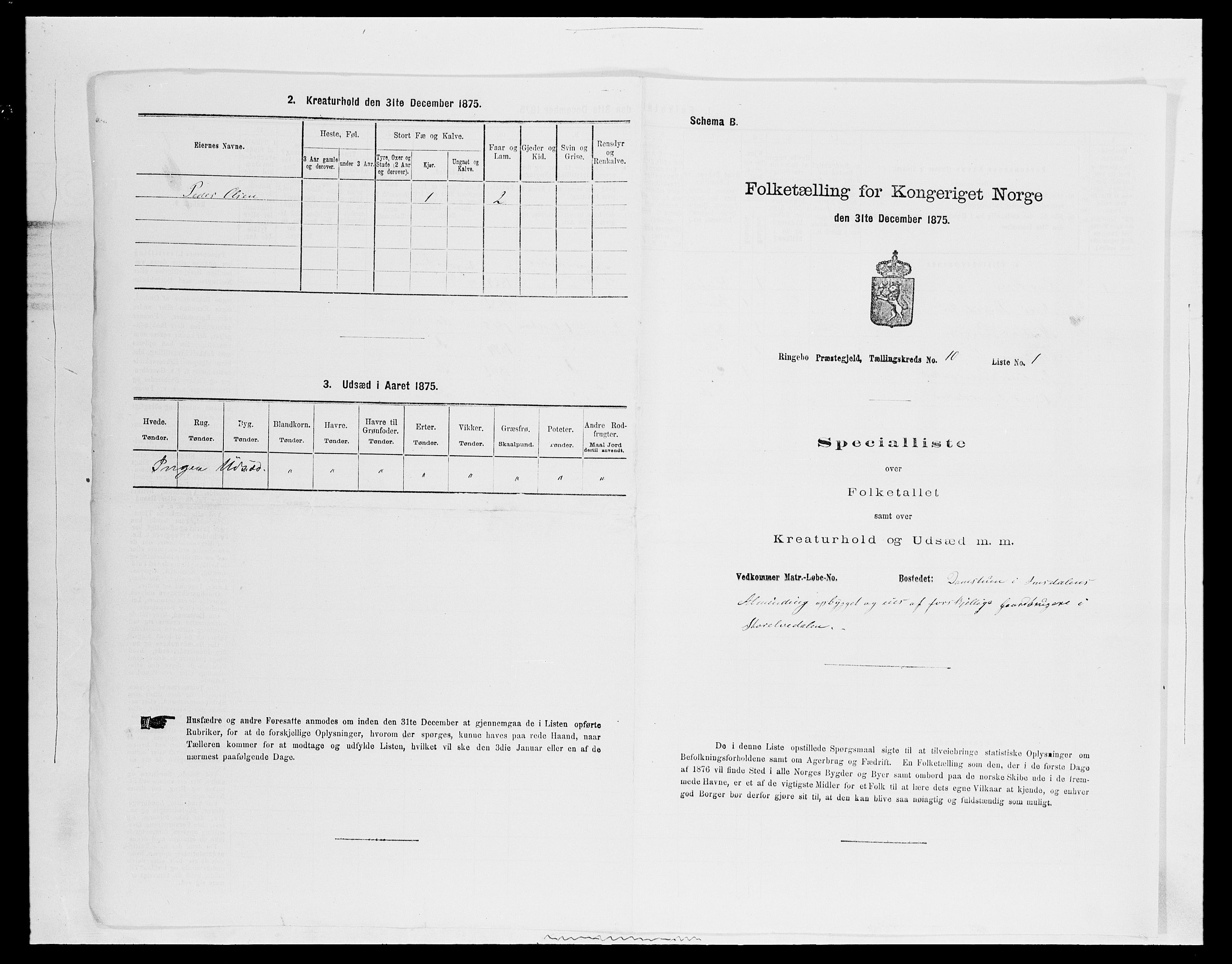 SAH, 1875 census for 0520P Ringebu, 1875, p. 1490