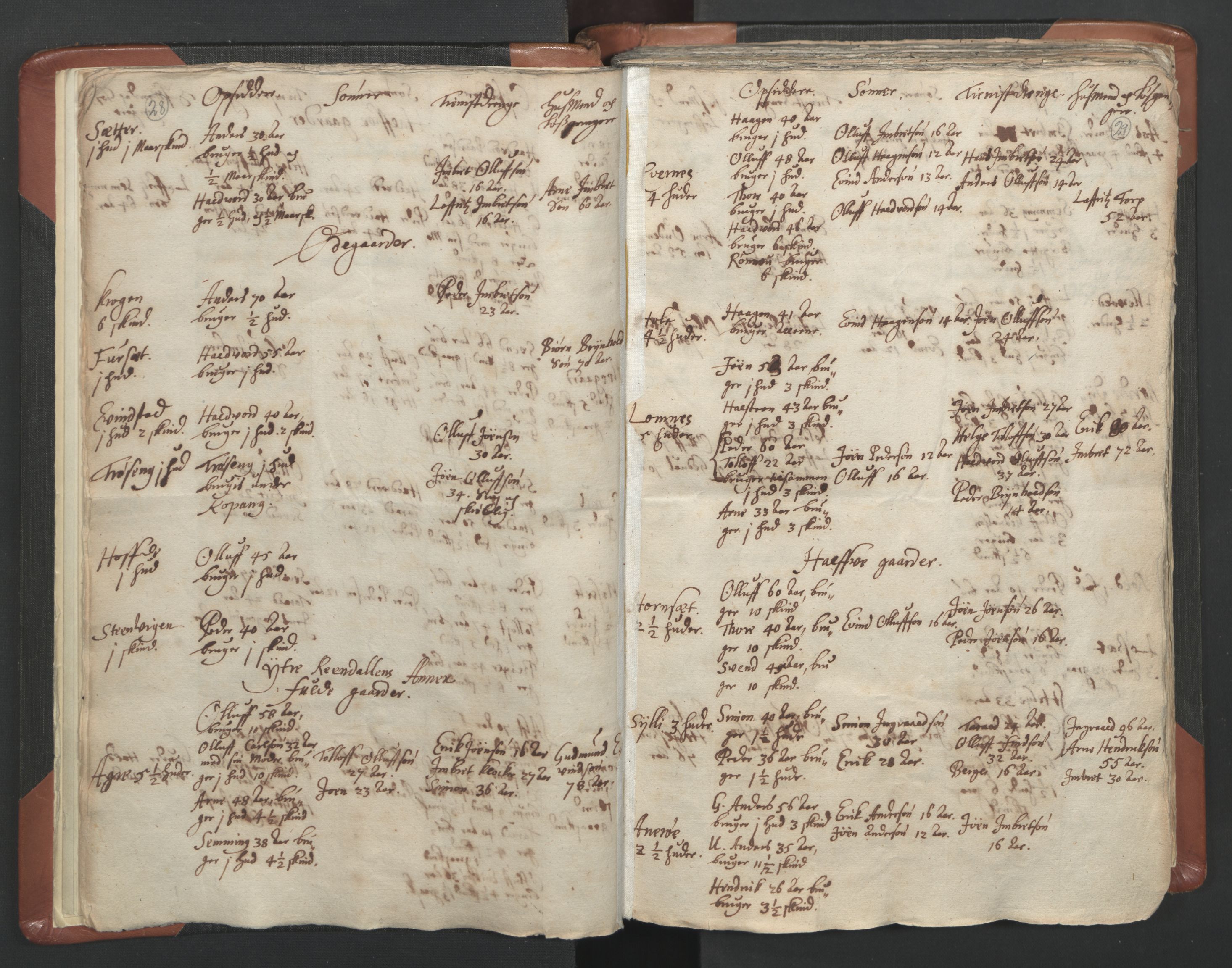 RA, Vicar's Census 1664-1666, no. 5: Hedmark deanery, 1664-1666, p. 28-29