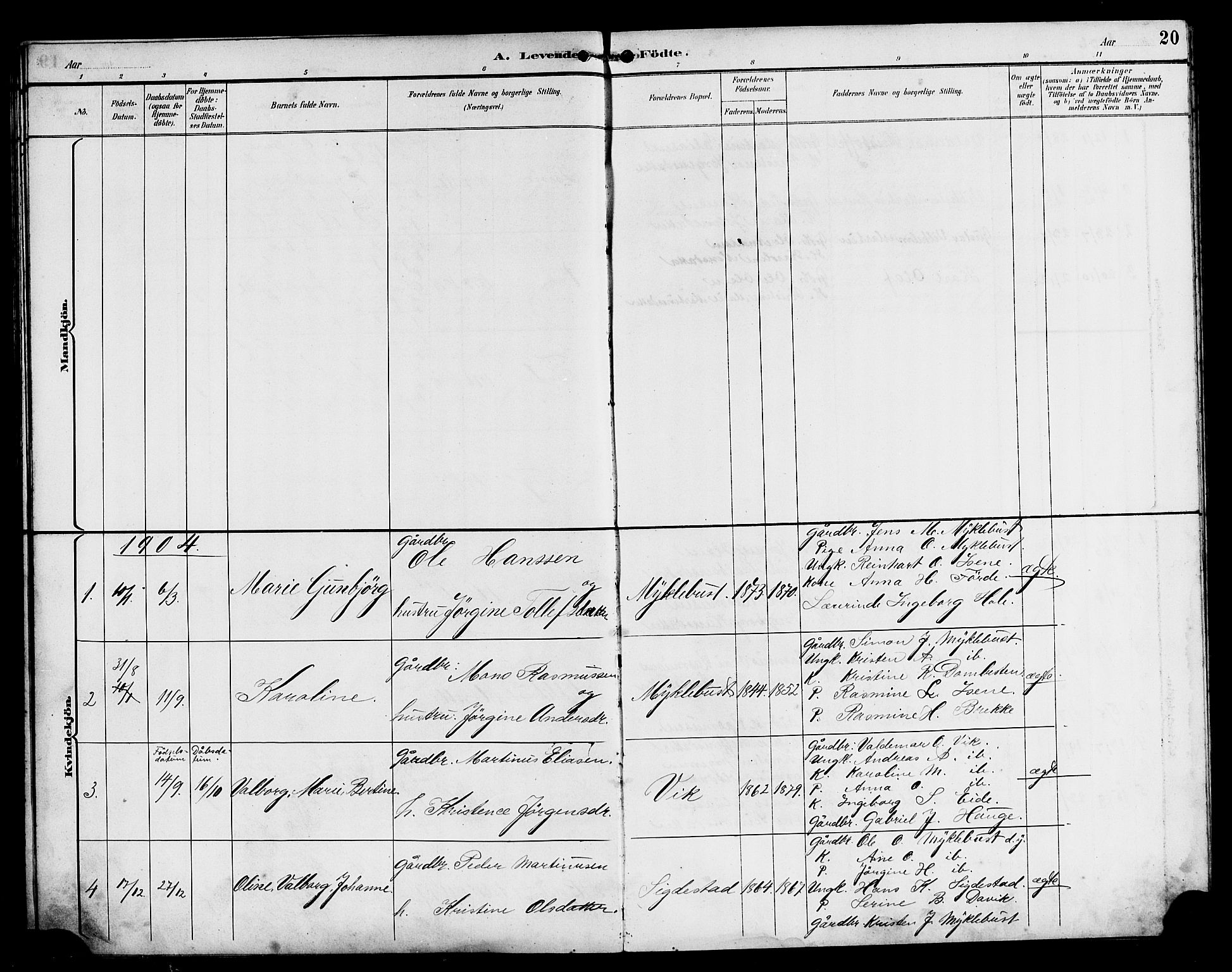 Davik sokneprestembete, AV/SAB-A-79701/H/Hab/Habd/L0002: Parish register (copy) no. D 2, 1890-1919, p. 20