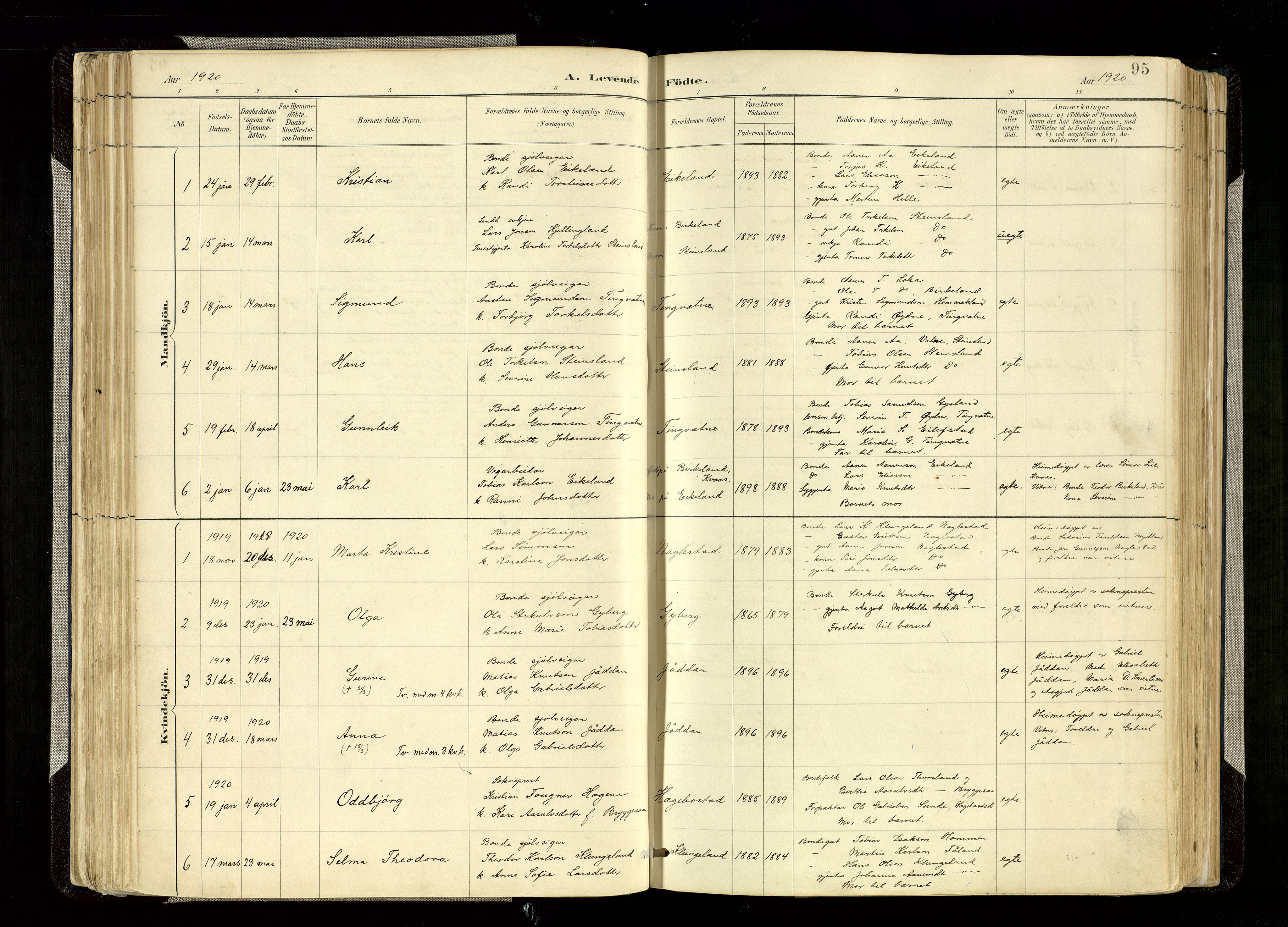 Hægebostad sokneprestkontor, SAK/1111-0024/F/Fa/Faa/L0006: Parish register (official) no. A 6, 1887-1929, p. 95