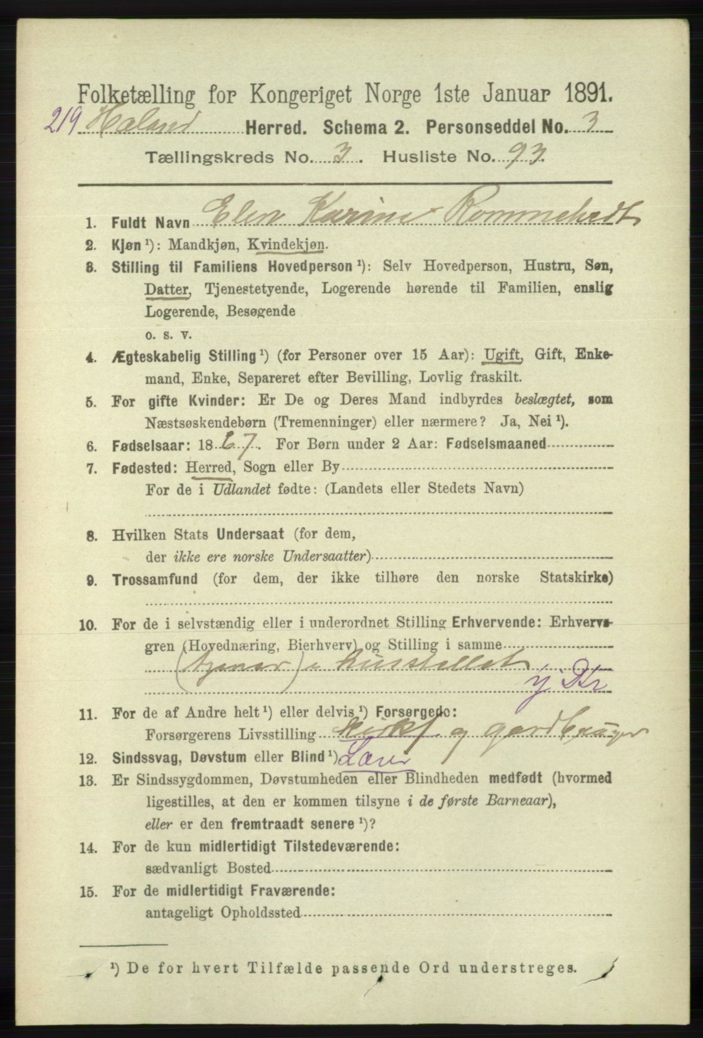 RA, 1891 census for 1124 Haaland, 1891, p. 2260