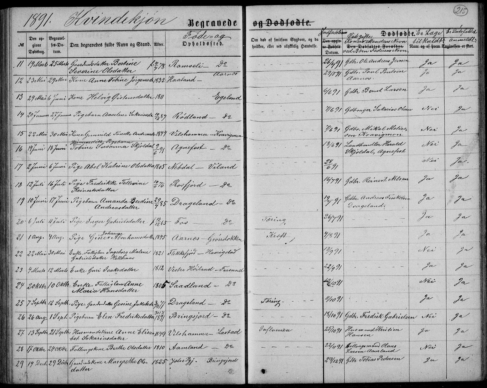 Lyngdal sokneprestkontor, AV/SAK-1111-0029/F/Fb/Fbc/L0004: Parish register (copy) no. B 4, 1878-1896, p. 215