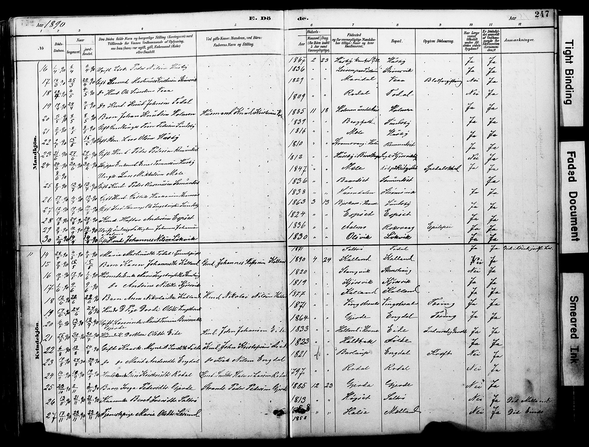 Ministerialprotokoller, klokkerbøker og fødselsregistre - Møre og Romsdal, AV/SAT-A-1454/578/L0907: Parish register (official) no. 578A06, 1887-1904, p. 247