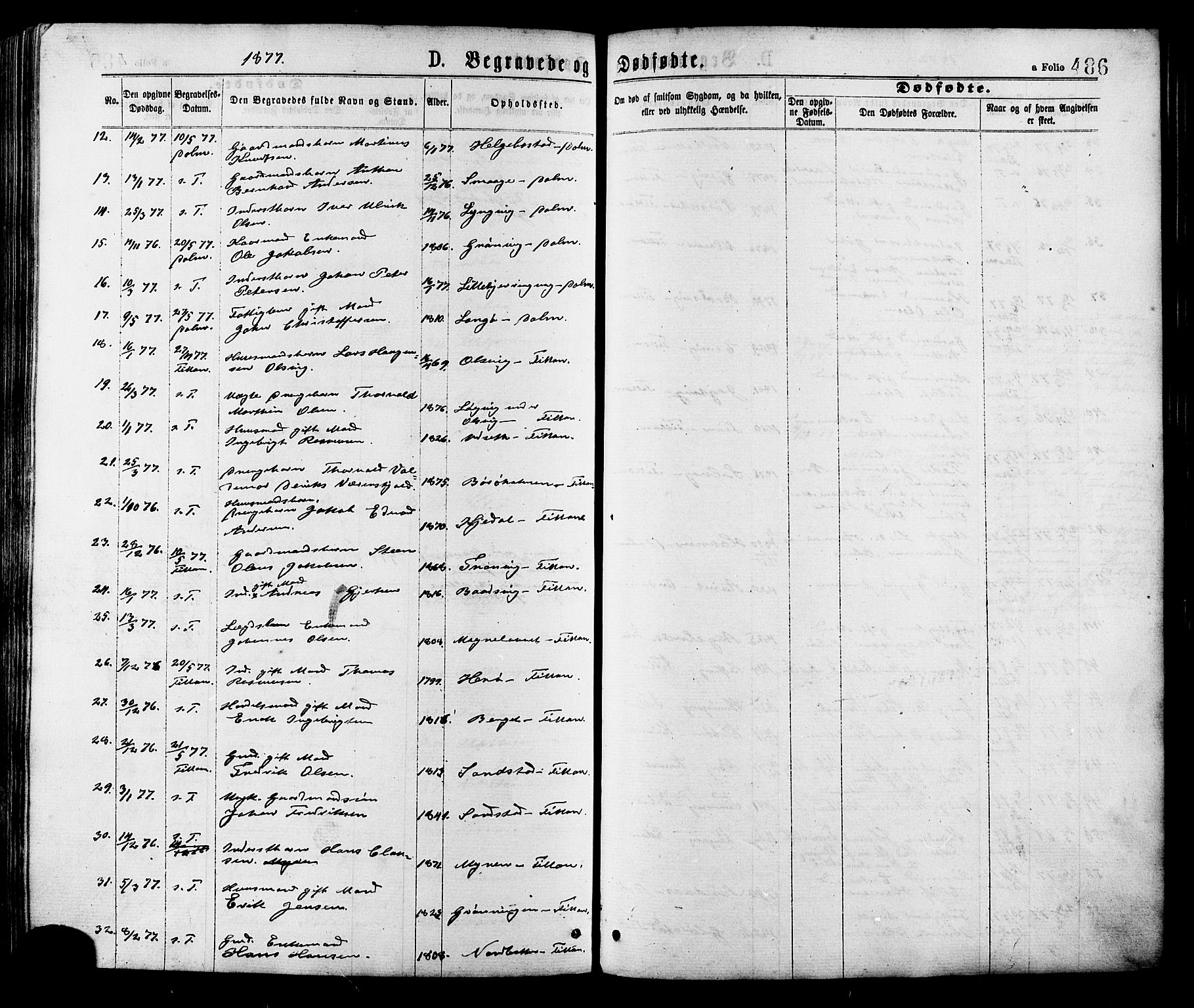 Ministerialprotokoller, klokkerbøker og fødselsregistre - Sør-Trøndelag, AV/SAT-A-1456/634/L0532: Parish register (official) no. 634A08, 1871-1881, p. 486