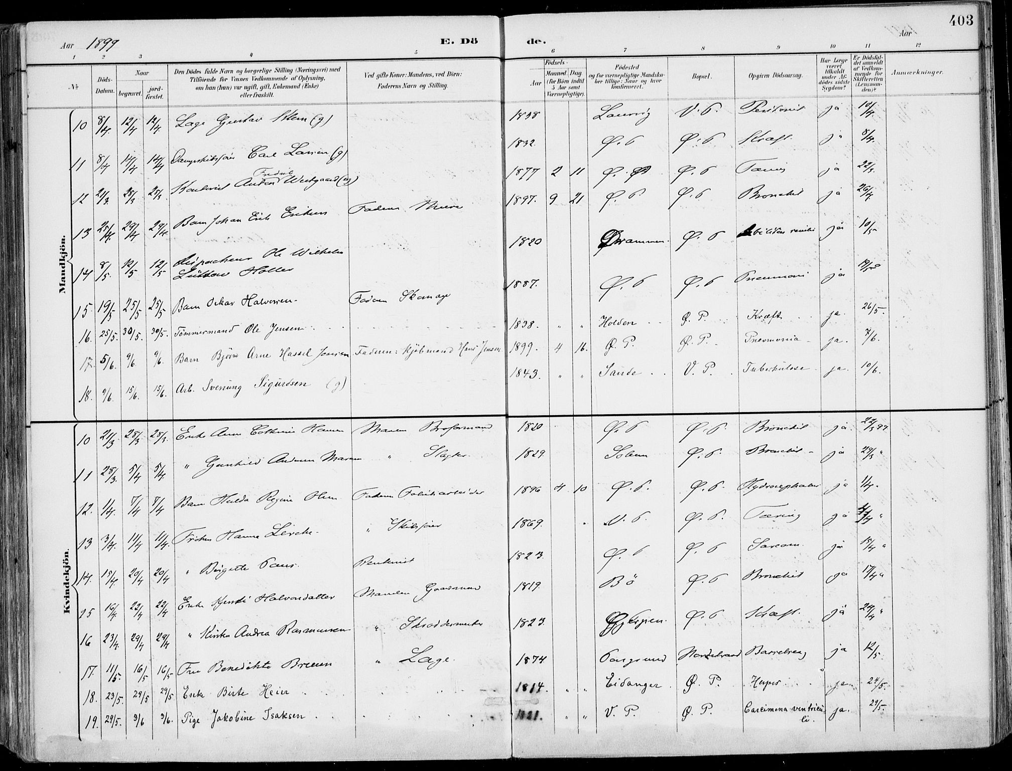 Porsgrunn kirkebøker , AV/SAKO-A-104/F/Fa/L0011: Parish register (official) no. 11, 1895-1919, p. 403