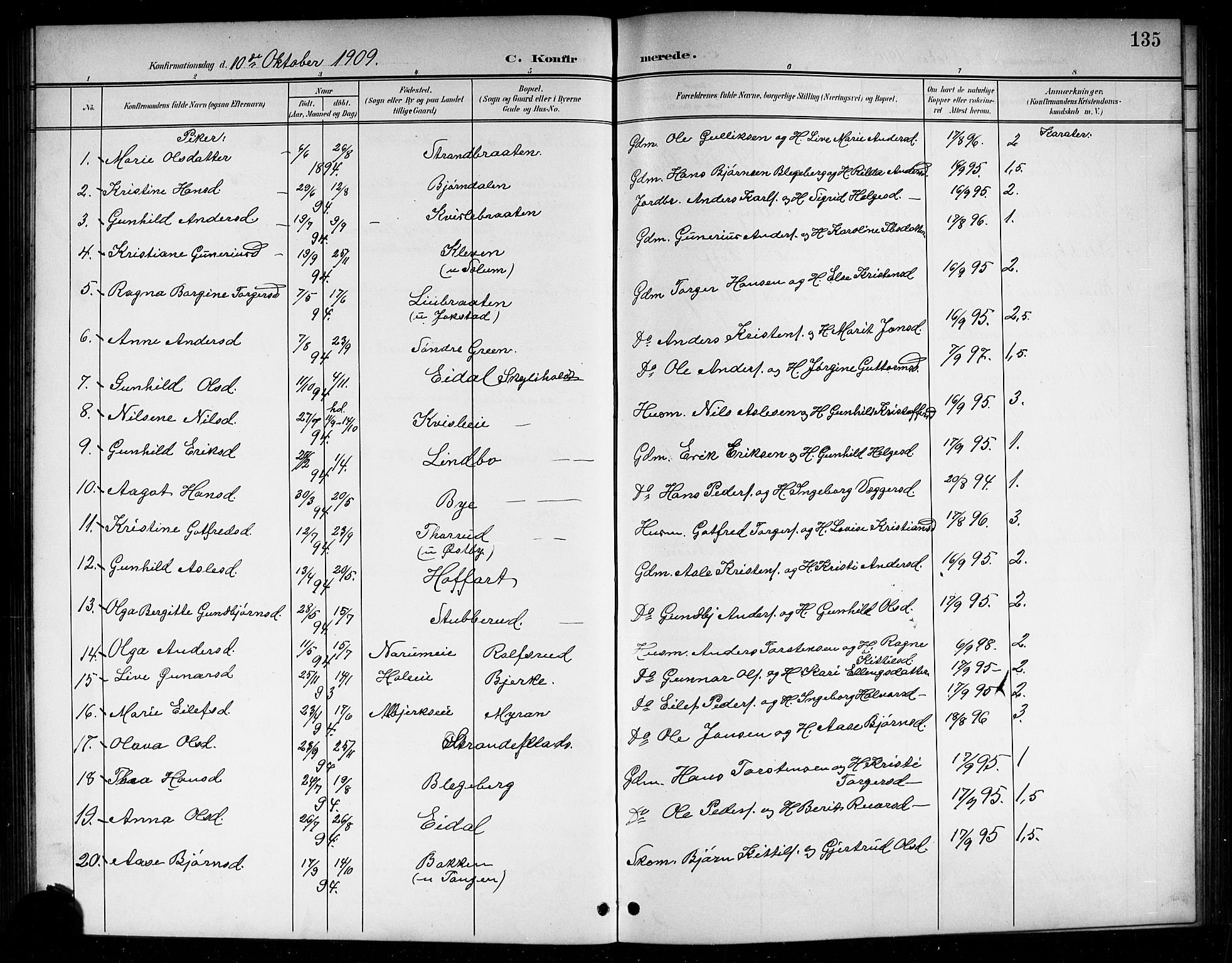 Sigdal kirkebøker, AV/SAKO-A-245/G/Ga/L0006: Parish register (copy) no. I 6, 1901-1916, p. 135