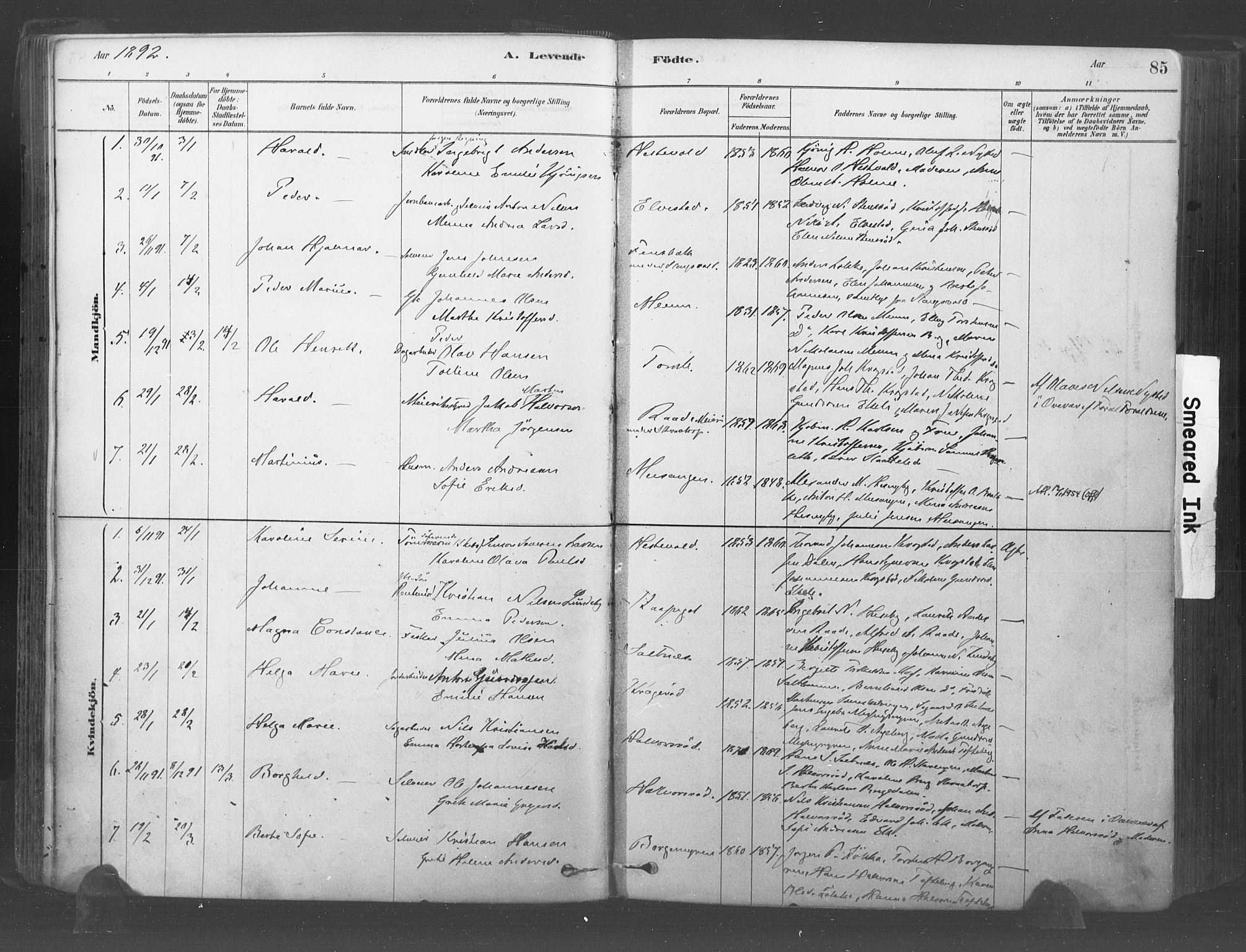 Råde prestekontor kirkebøker, AV/SAO-A-2009/F/Fa/L0007: Parish register (official) no. 7, 1878-1902, p. 85