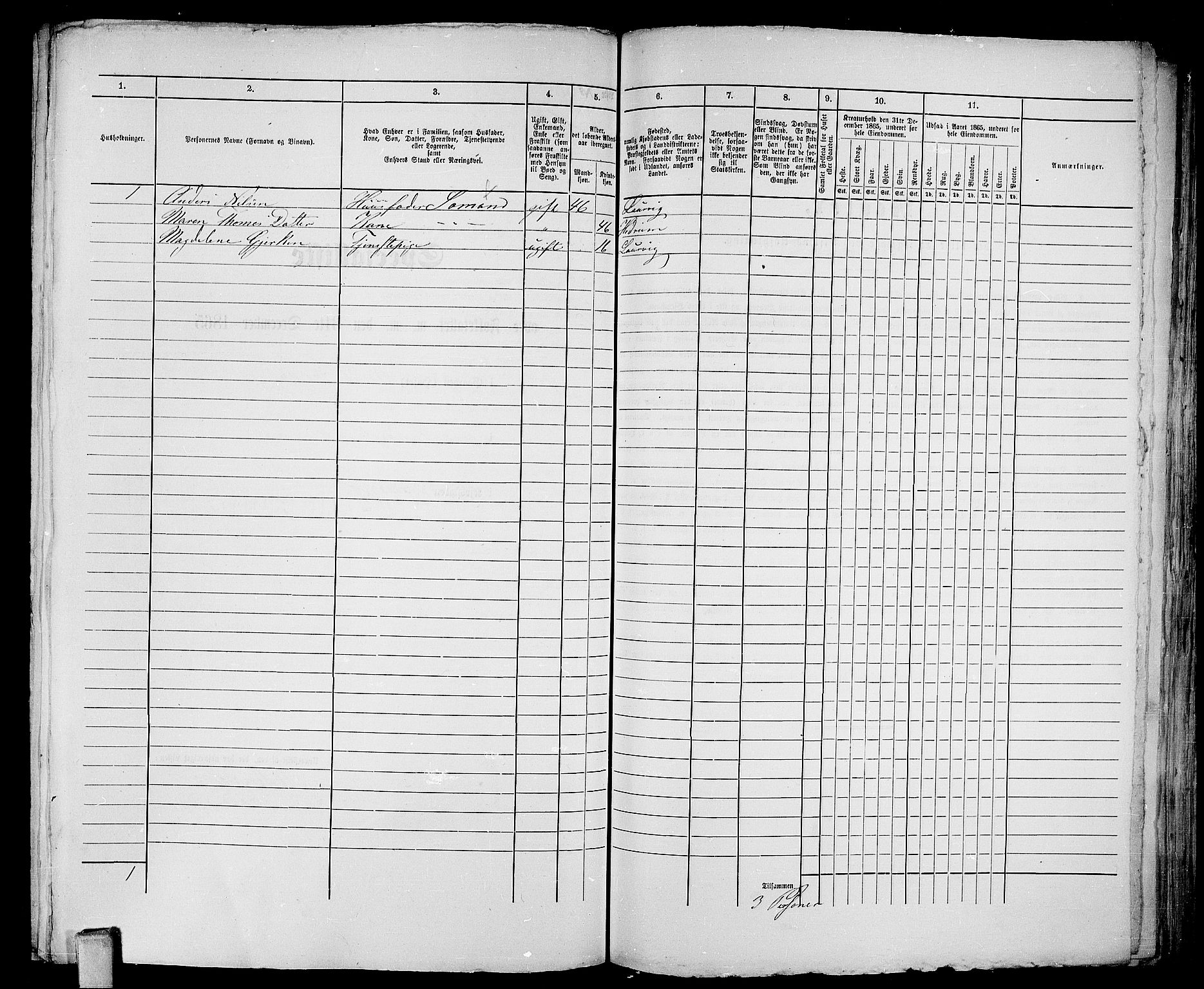 RA, 1865 census for Larvik, 1865, p. 1229