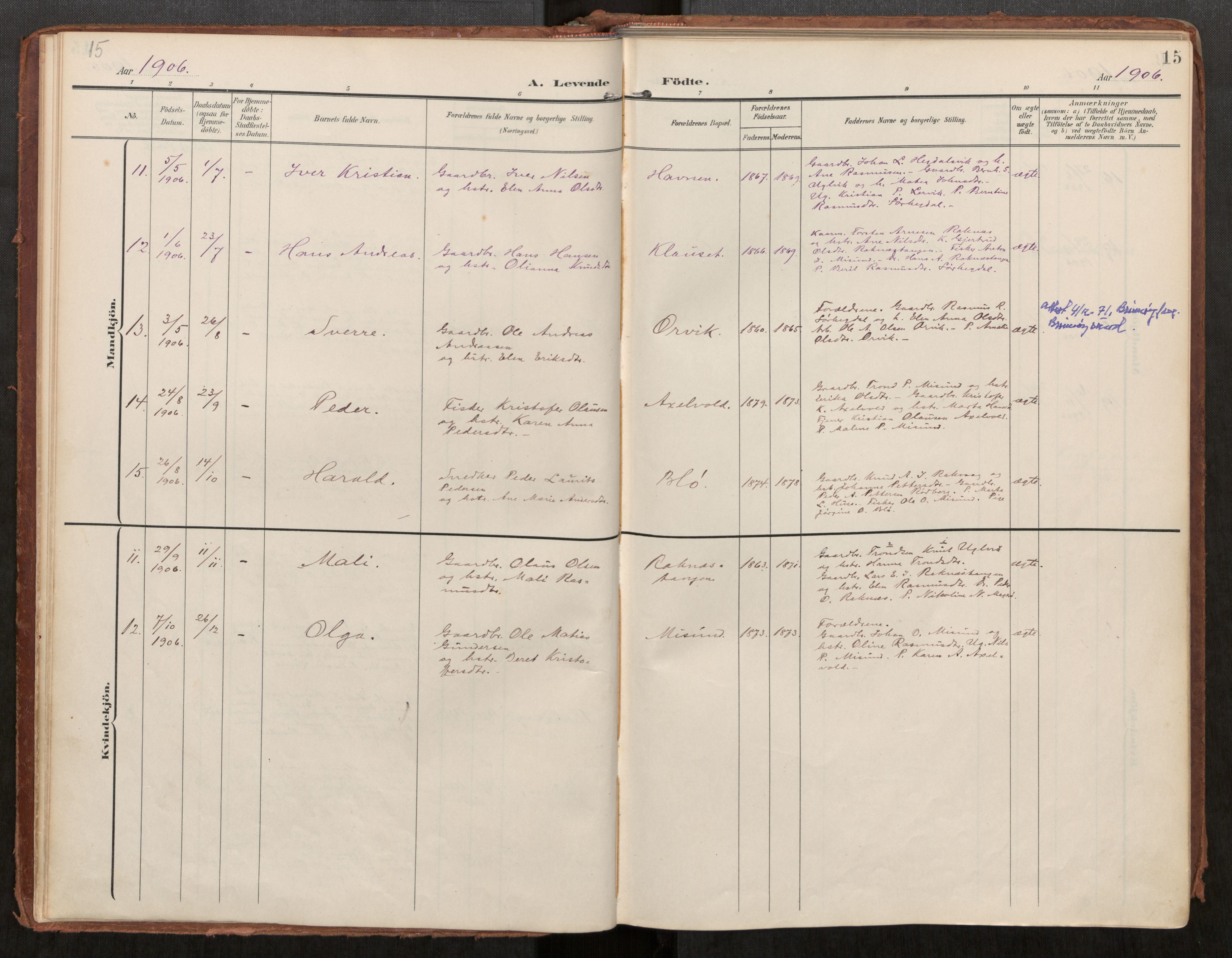 Ministerialprotokoller, klokkerbøker og fødselsregistre - Møre og Romsdal, AV/SAT-A-1454/563/L0740: Parish register (official) no. 563A02, 1903-1923, p. 15