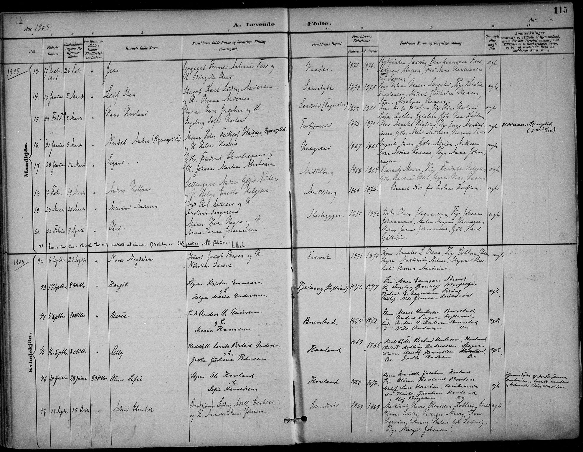 Nøtterøy kirkebøker, AV/SAKO-A-354/F/Fa/L0009: Parish register (official) no. I 9, 1894-1907, p. 115