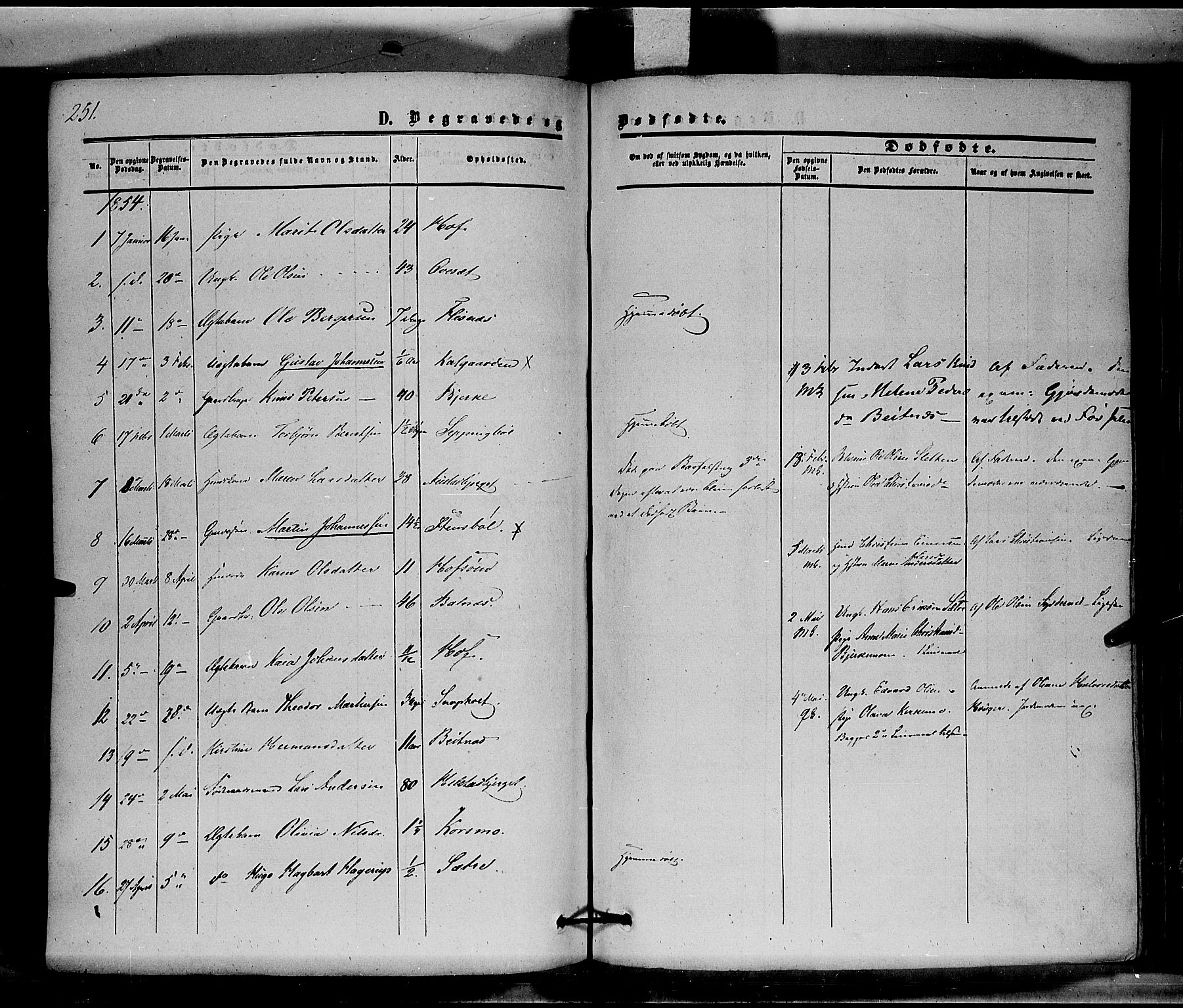 Hof prestekontor, SAH/PREST-038/H/Ha/Haa/L0008: Parish register (official) no. 8, 1849-1861, p. 251