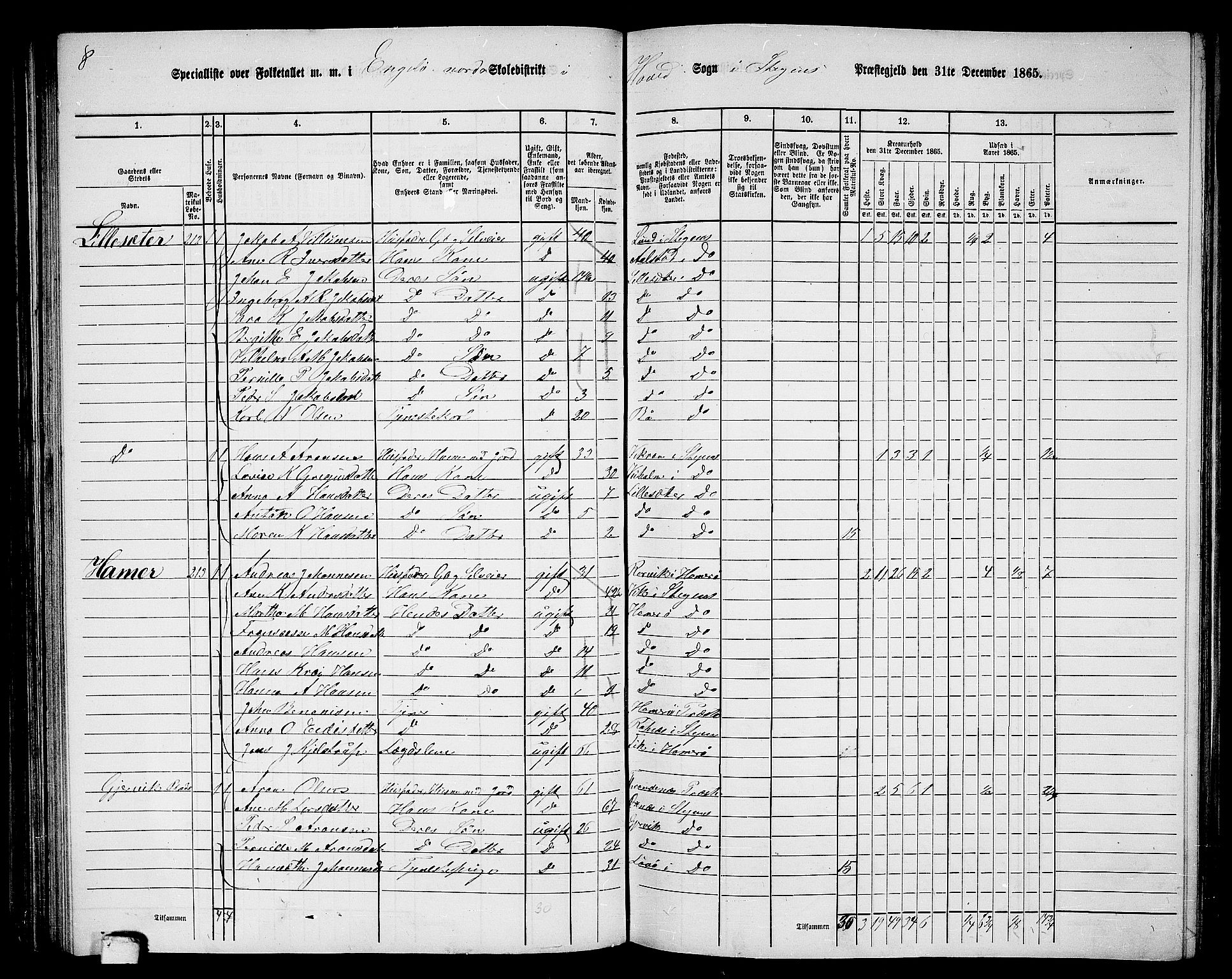 RA, 1865 census for Steigen, 1865, p. 79