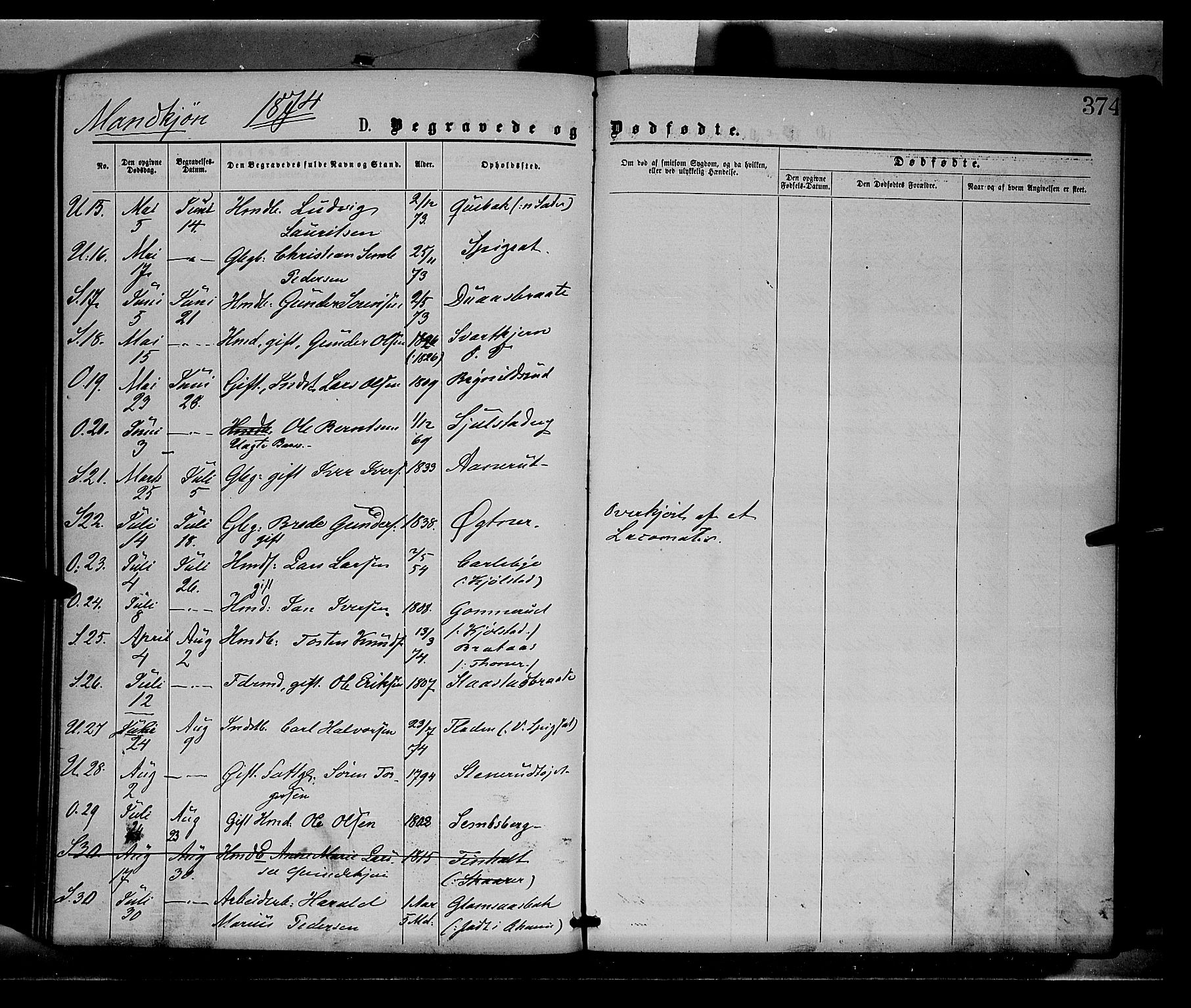 Sør-Odal prestekontor, AV/SAH-PREST-030/H/Ha/Haa/L0004: Parish register (official) no. 4, 1870-1875, p. 374