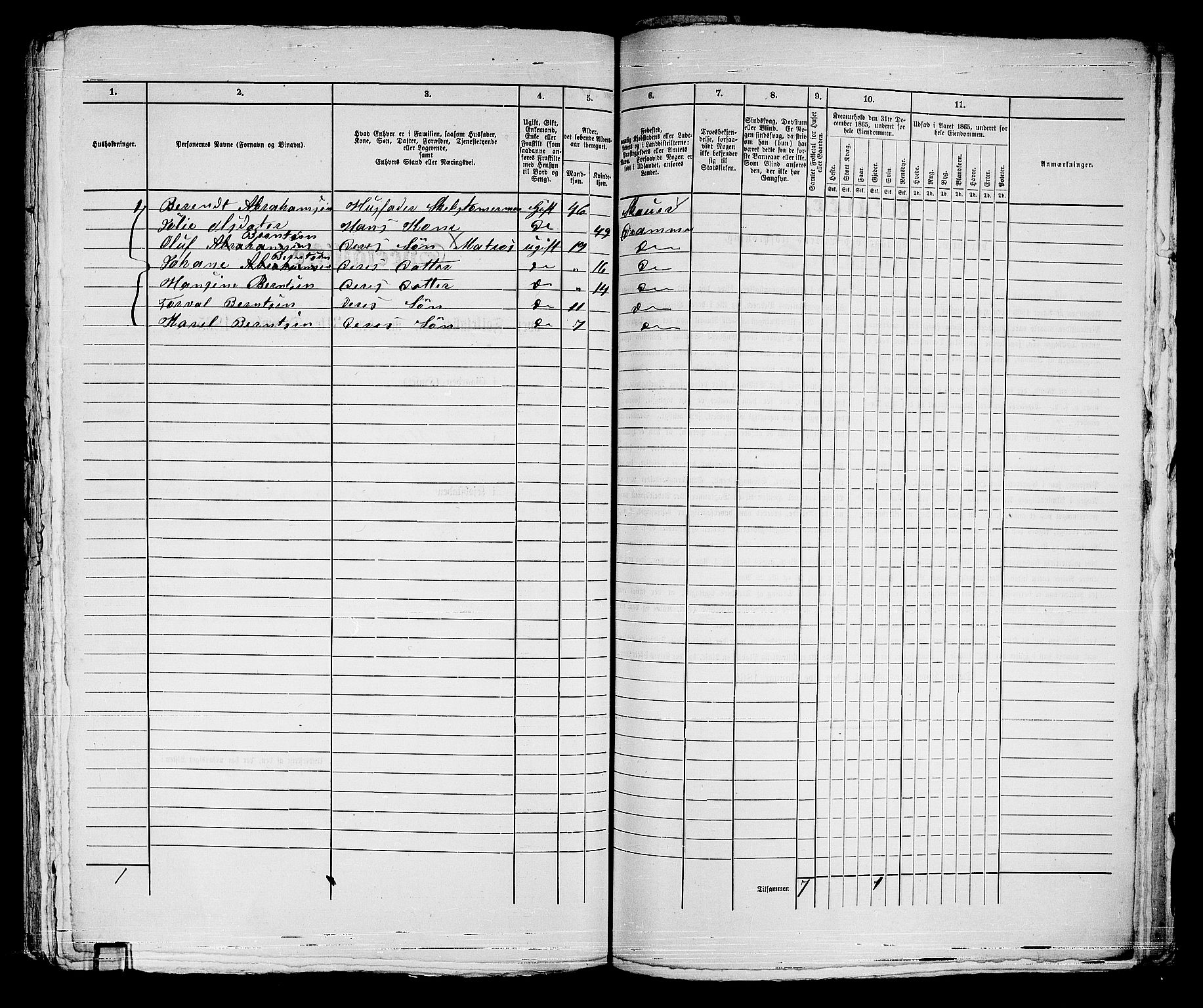 RA, 1865 census for Strømsø in Drammen, 1865, p. 460