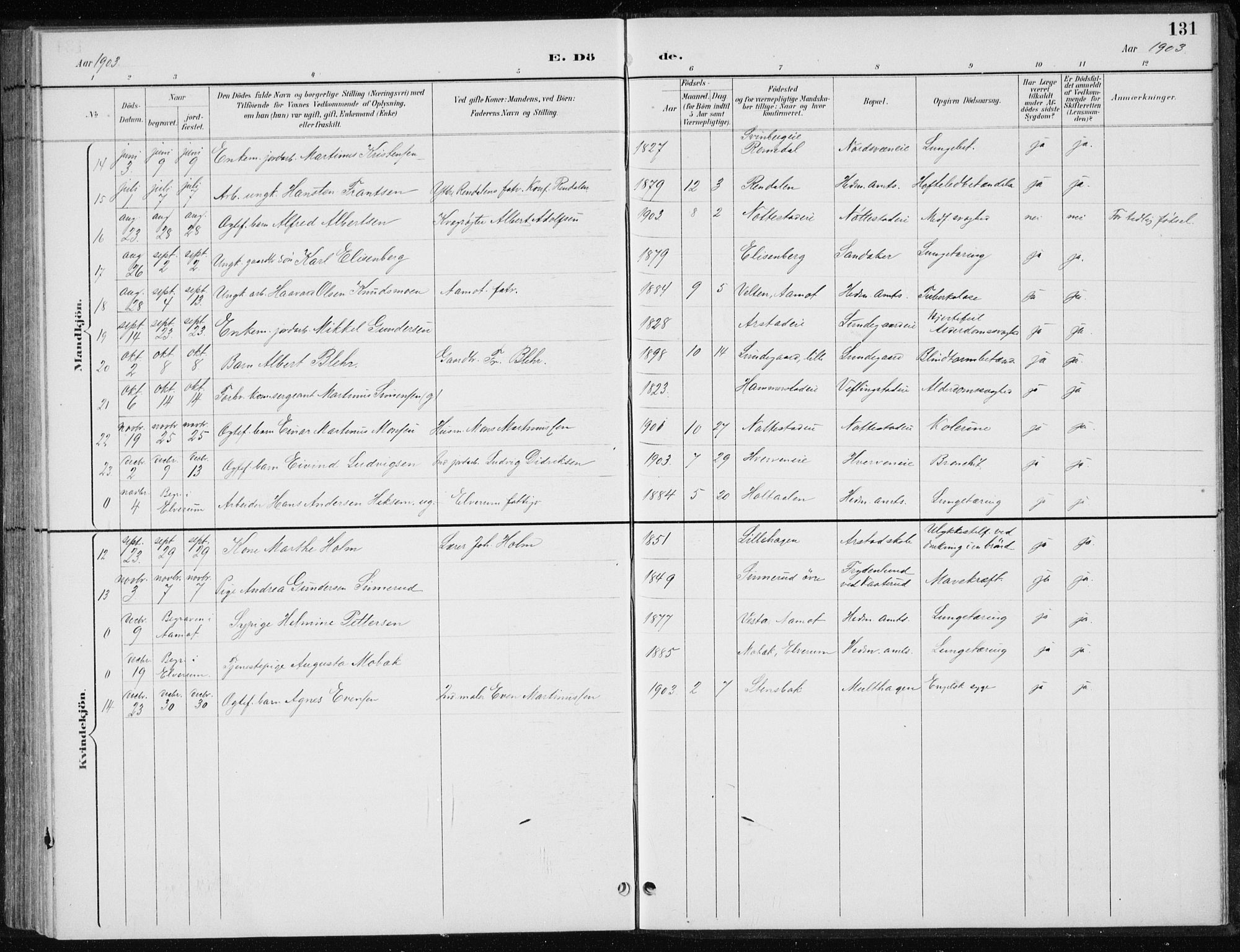 Stange prestekontor, SAH/PREST-002/L/L0010: Parish register (copy) no. 10, 1894-1905, p. 131