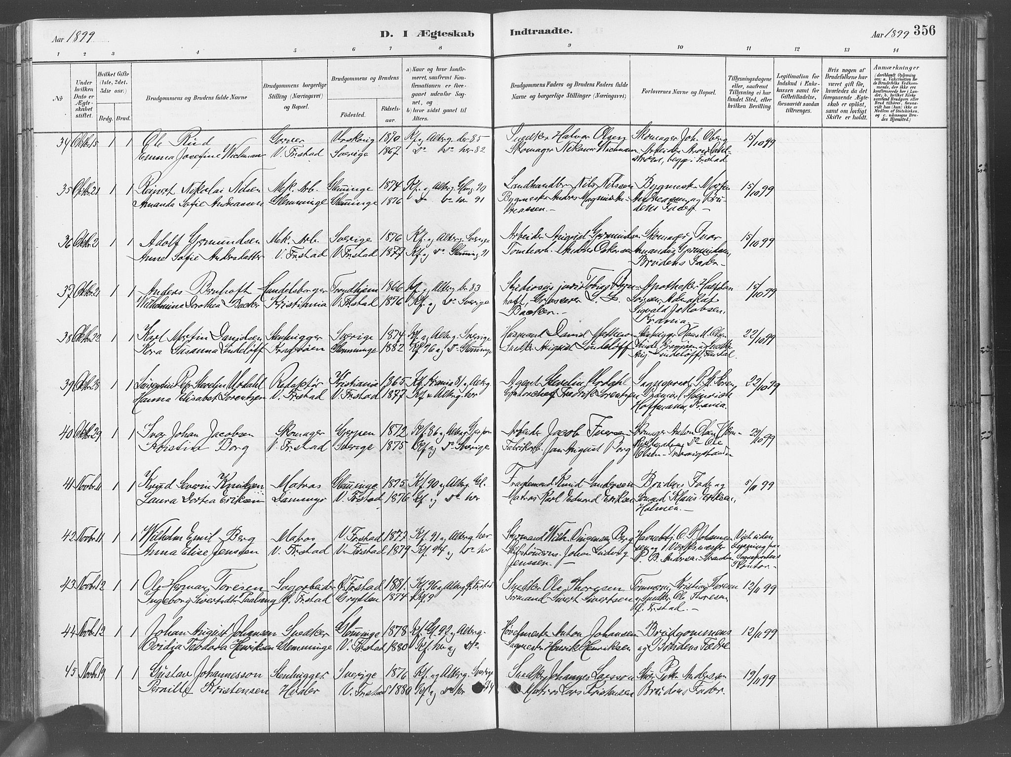 Fredrikstad domkirkes prestekontor Kirkebøker, SAO/A-10906/G/Ga/L0003: Parish register (copy) no. 3, 1880-1900, p. 356