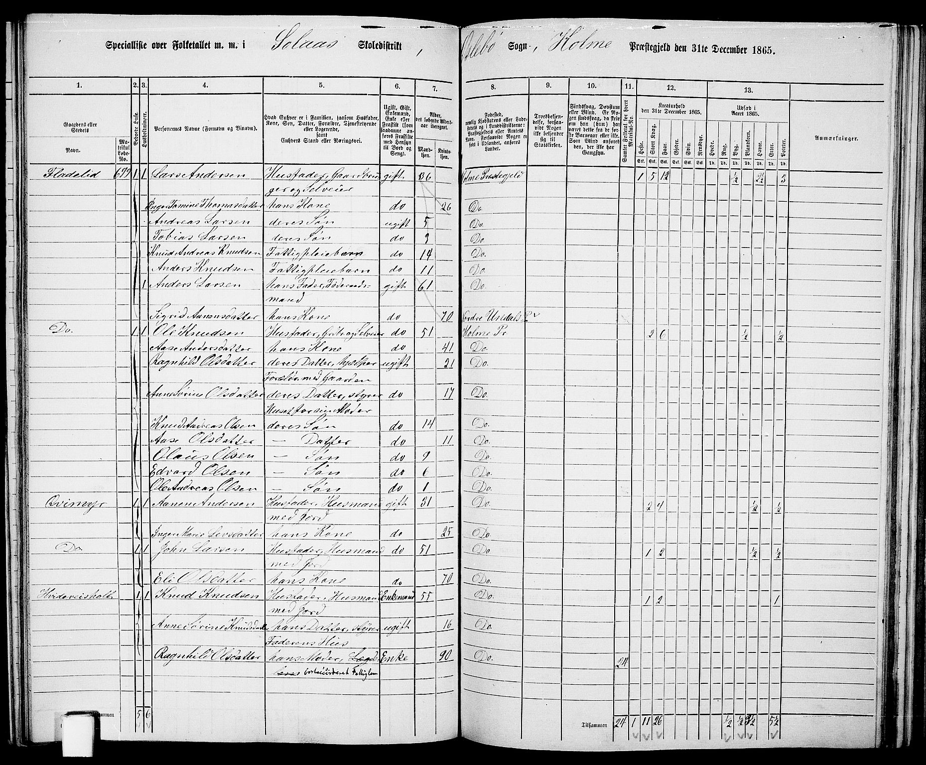 RA, 1865 census for Holum, 1865, p. 126