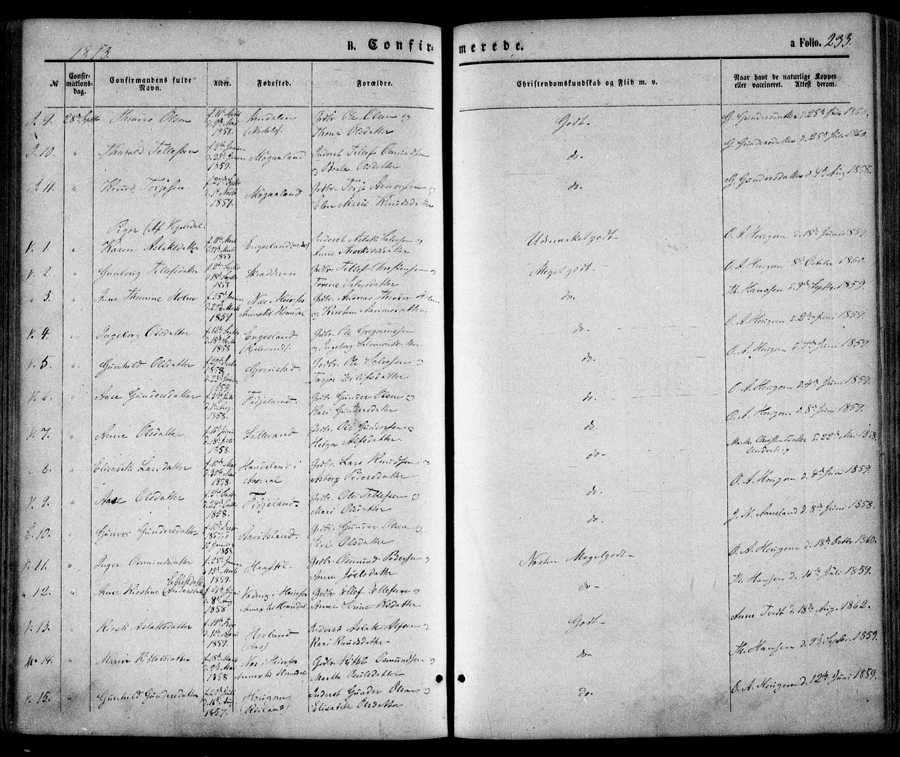 Evje sokneprestkontor, AV/SAK-1111-0008/F/Fa/Faa/L0006: Parish register (official) no. A 6, 1866-1884, p. 233