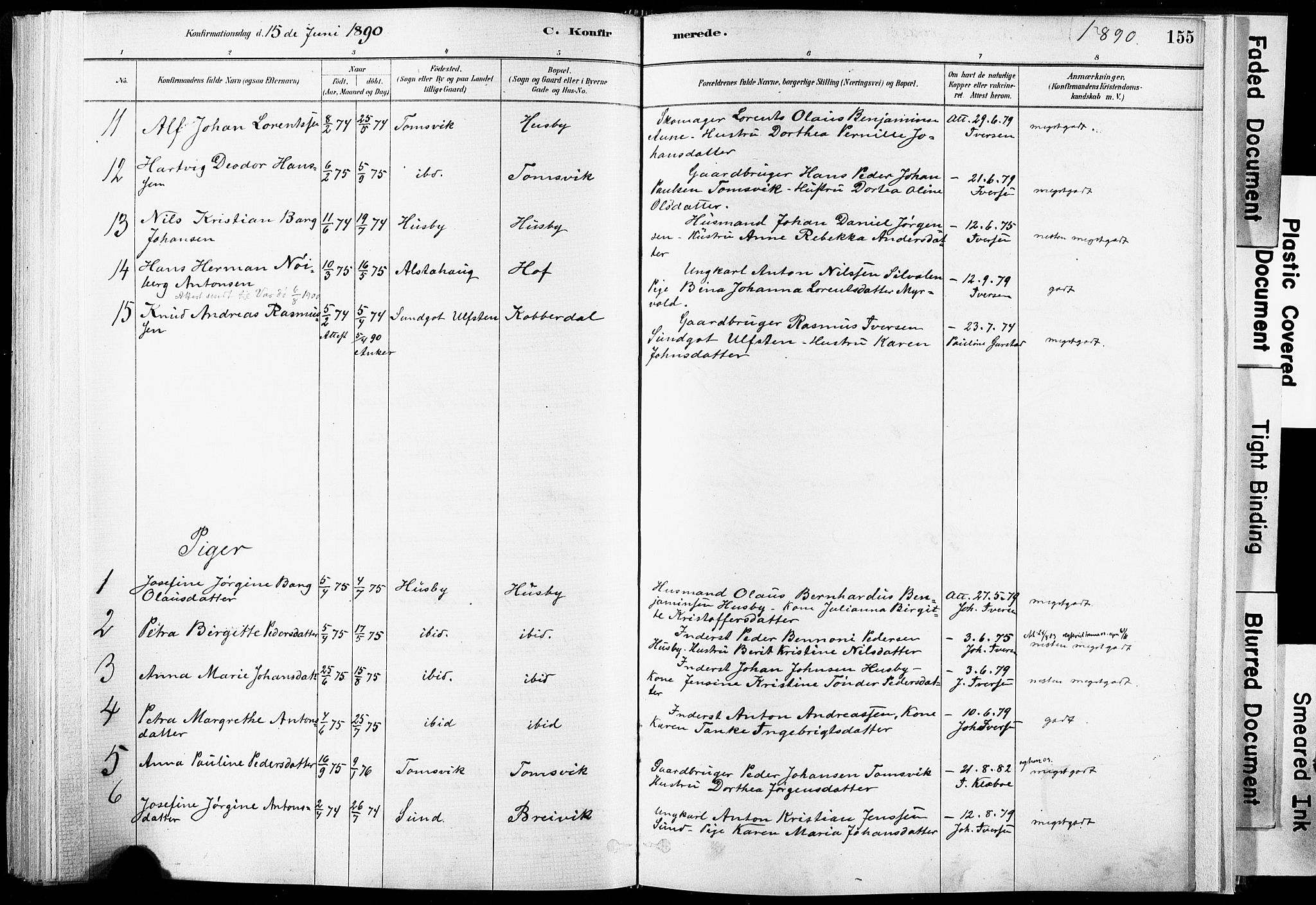 Ministerialprotokoller, klokkerbøker og fødselsregistre - Nordland, AV/SAT-A-1459/835/L0525: Parish register (official) no. 835A03I, 1881-1910, p. 155