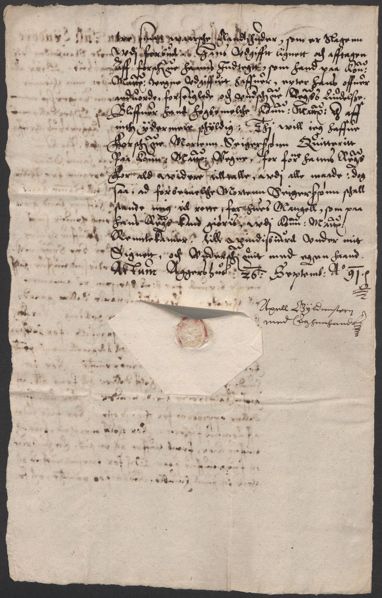 Riksarkivets diplomsamling, AV/RA-EA-5965/F02/L0094: Dokumenter, 1591, p. 41