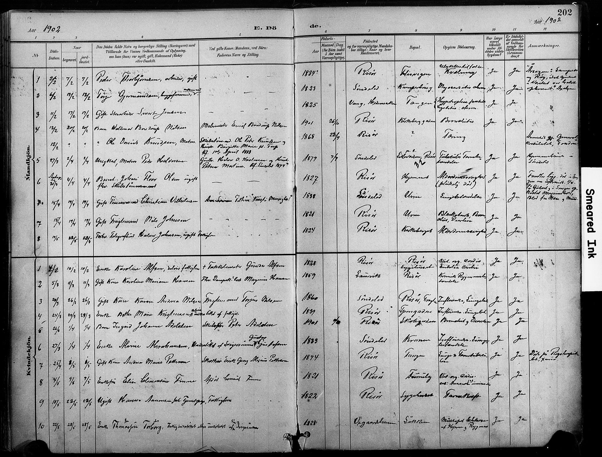 Risør sokneprestkontor, SAK/1111-0035/F/Fa/L0010: Parish register (official) no. A 10, 1896-1906, p. 202