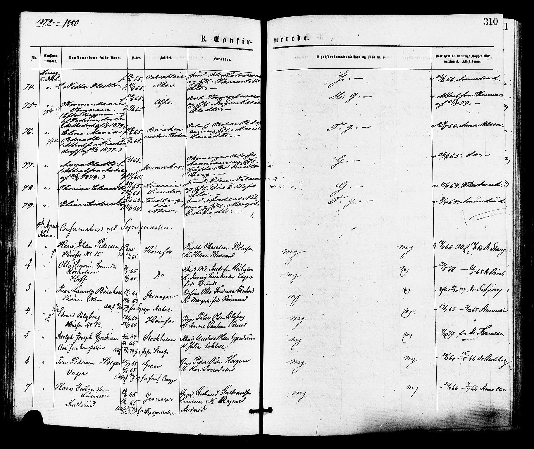 Norderhov kirkebøker, AV/SAKO-A-237/F/Fa/L0015: Parish register (official) no. 15, 1875-1884, p. 310