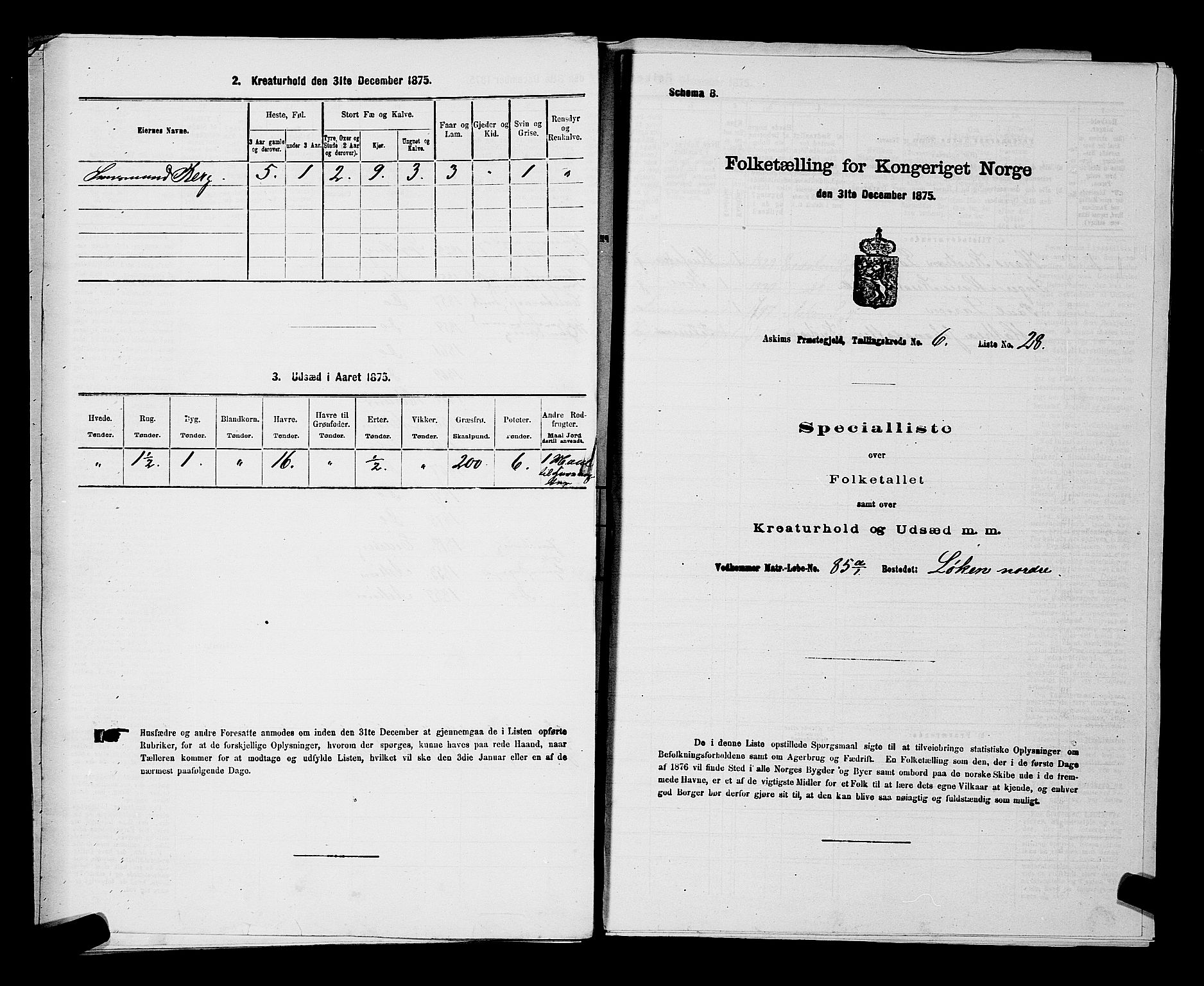 RA, 1875 census for 0124P Askim, 1875, p. 419