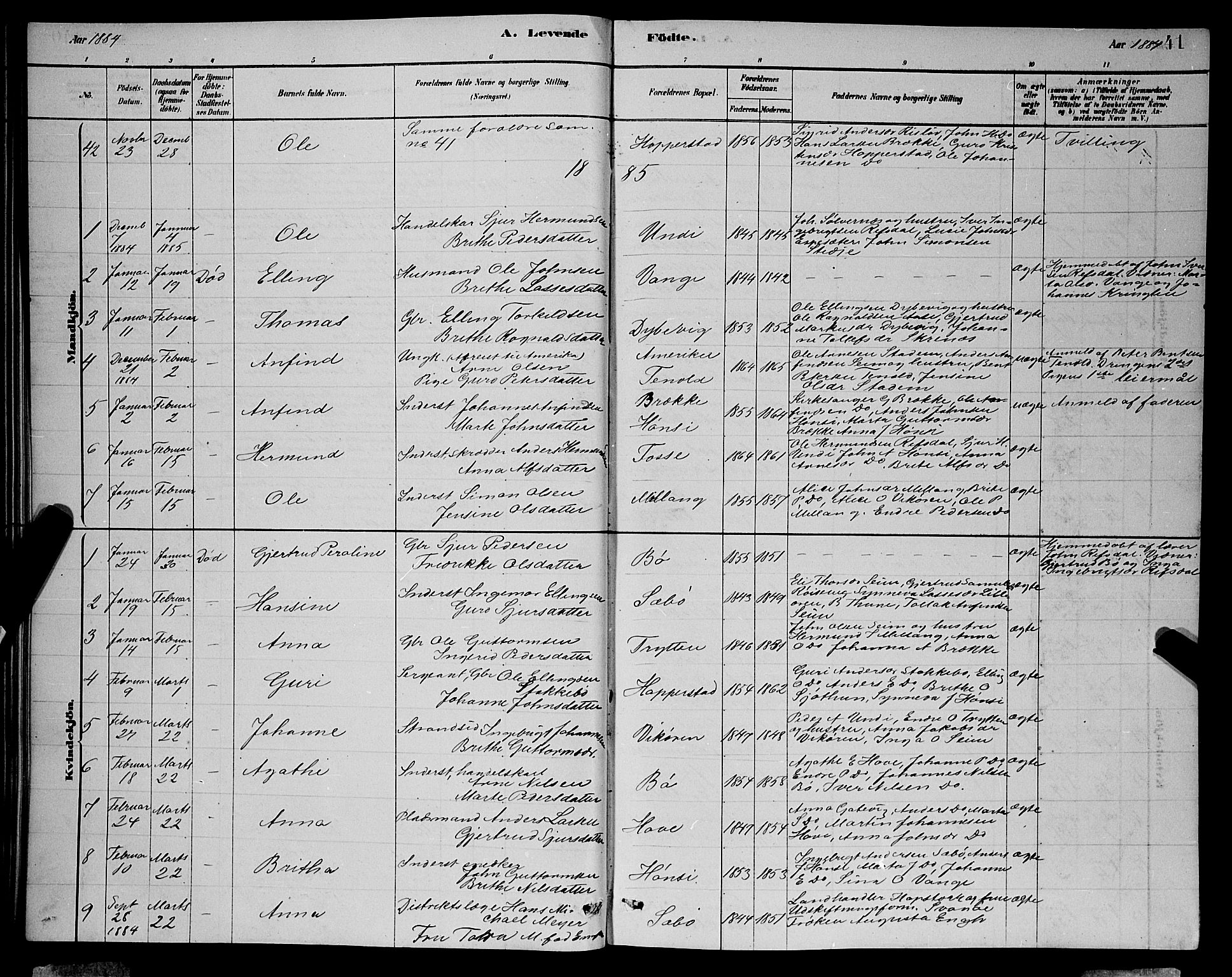 Vik sokneprestembete, AV/SAB-A-81501/H/Hab/Haba/L0003: Parish register (copy) no. A 3, 1878-1894, p. 41