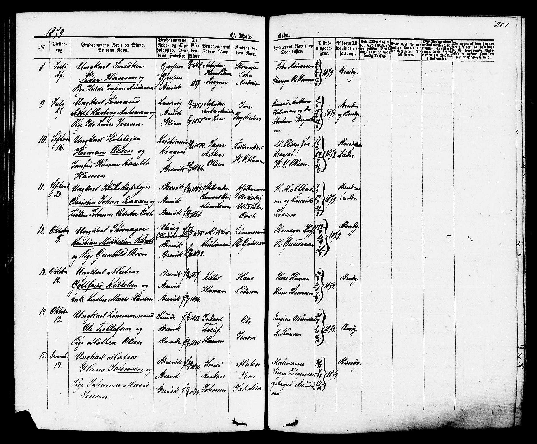 Brevik kirkebøker, SAKO/A-255/F/Fa/L0006: Parish register (official) no. 6, 1866-1881, p. 201