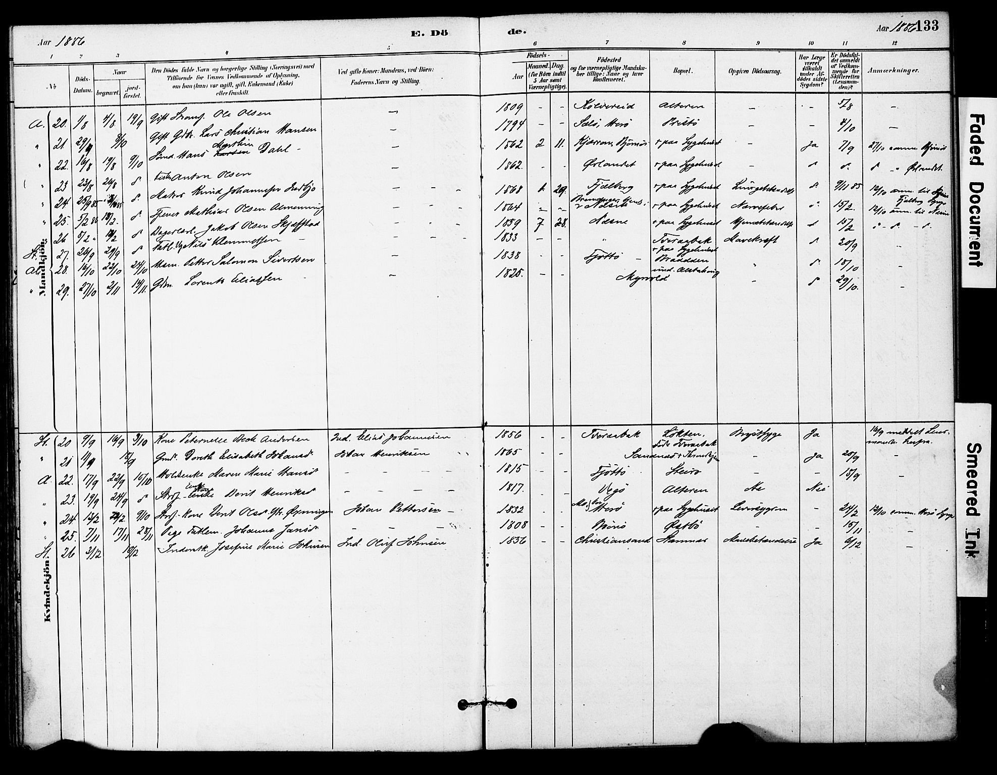 Ministerialprotokoller, klokkerbøker og fødselsregistre - Nordland, AV/SAT-A-1459/830/L0450: Parish register (official) no. 830A14, 1879-1896, p. 133