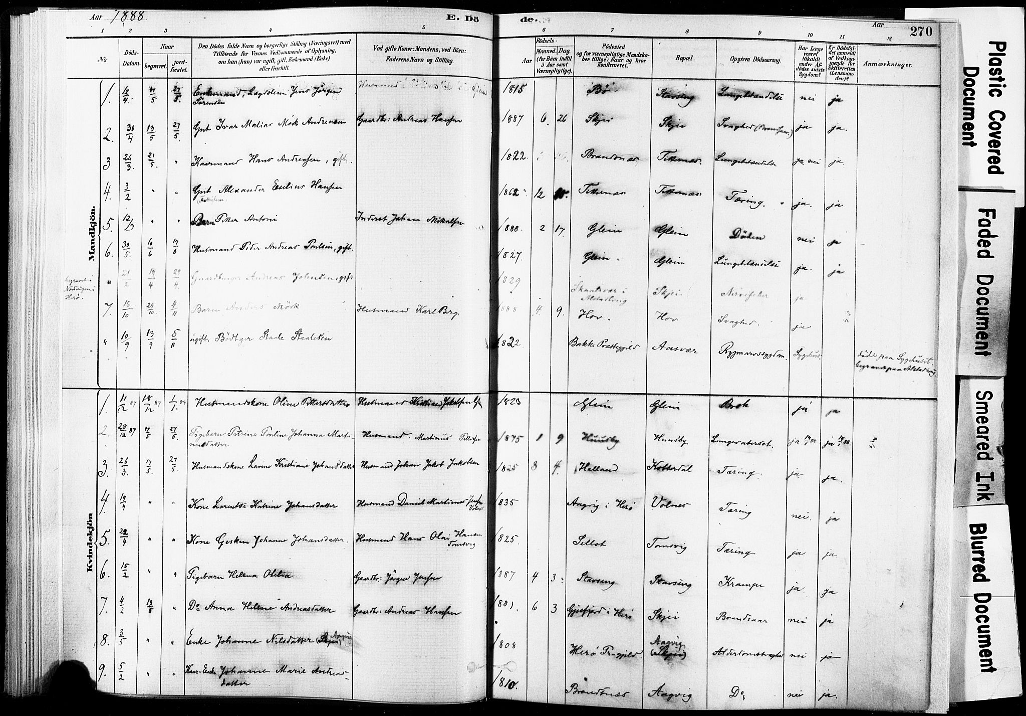 Ministerialprotokoller, klokkerbøker og fødselsregistre - Nordland, AV/SAT-A-1459/835/L0526: Parish register (official) no. 835A03II, 1881-1910, p. 270