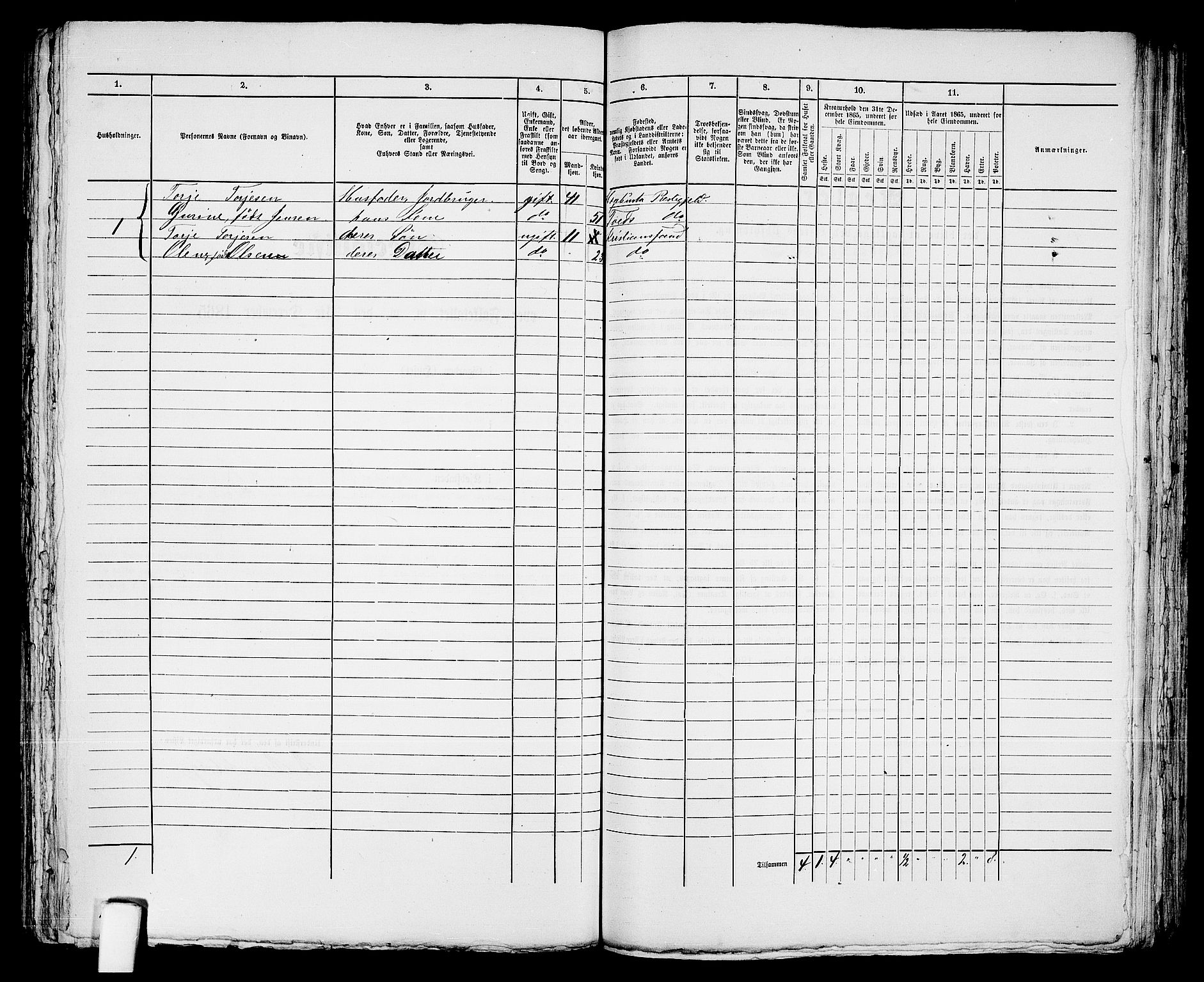 RA, 1865 census for Kristiansand, 1865, p. 1436