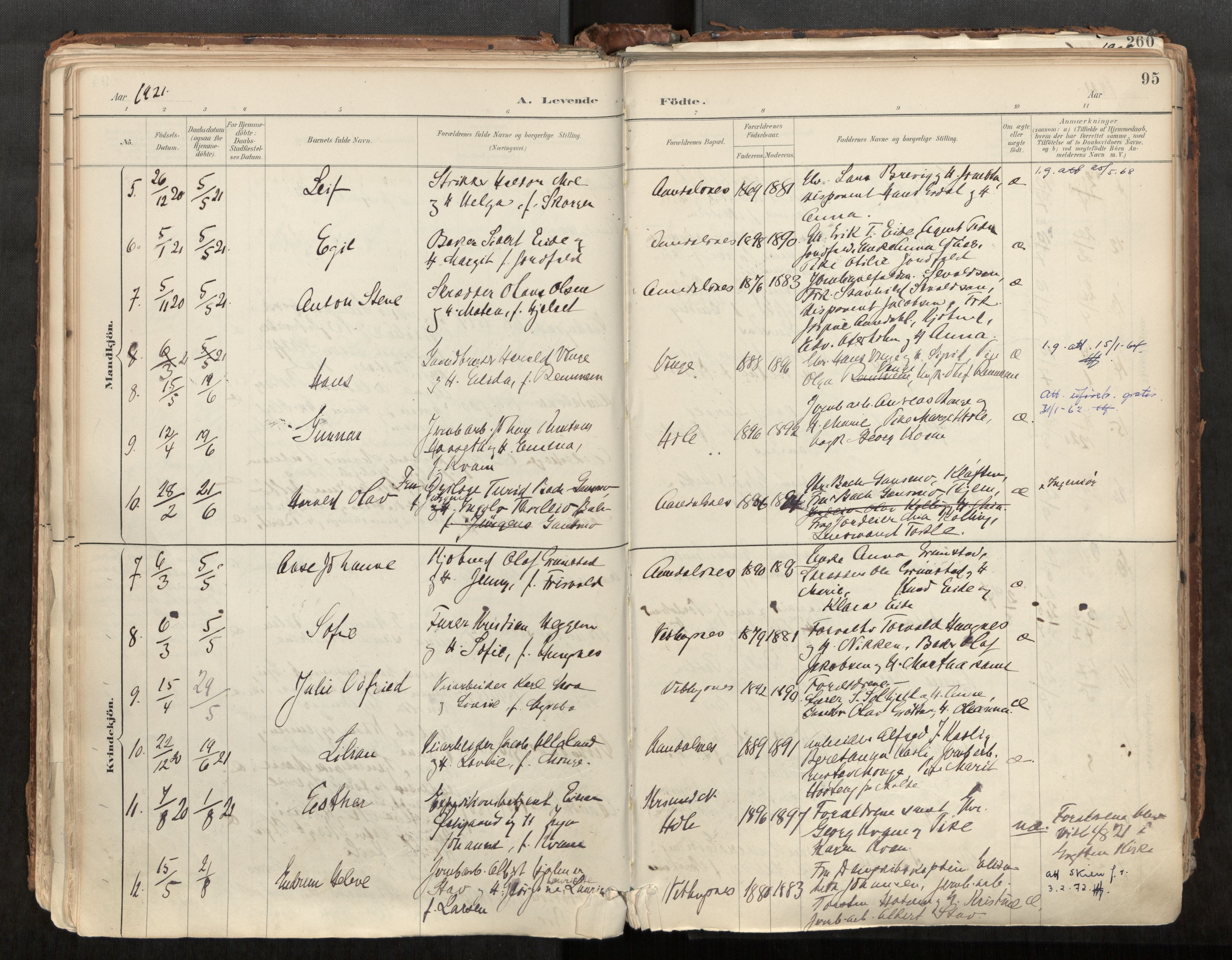 Ministerialprotokoller, klokkerbøker og fødselsregistre - Møre og Romsdal, AV/SAT-A-1454/544/L0585: Parish register (official) no. 544A06, 1887-1924, p. 95