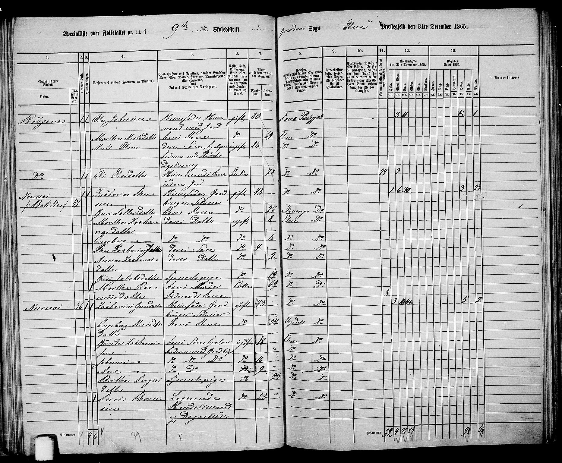 RA, 1865 census for Etne, 1865, p. 56