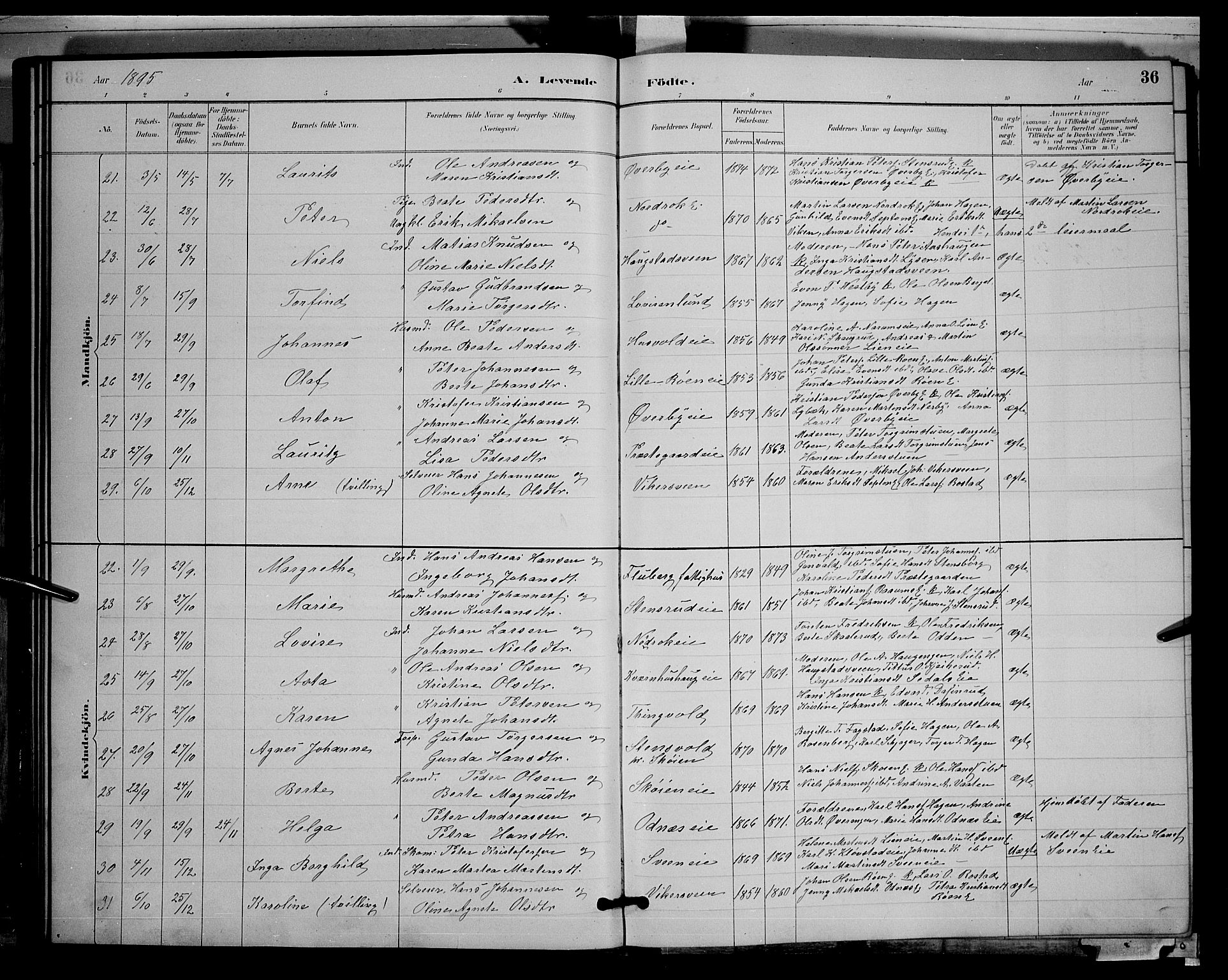 Søndre Land prestekontor, AV/SAH-PREST-122/L/L0003: Parish register (copy) no. 3, 1884-1902, p. 36