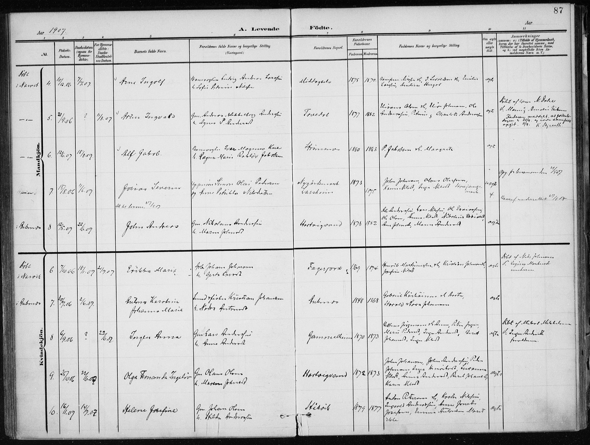 Ministerialprotokoller, klokkerbøker og fødselsregistre - Nordland, AV/SAT-A-1459/866/L0941: Parish register (official) no. 866A04, 1901-1917, p. 87