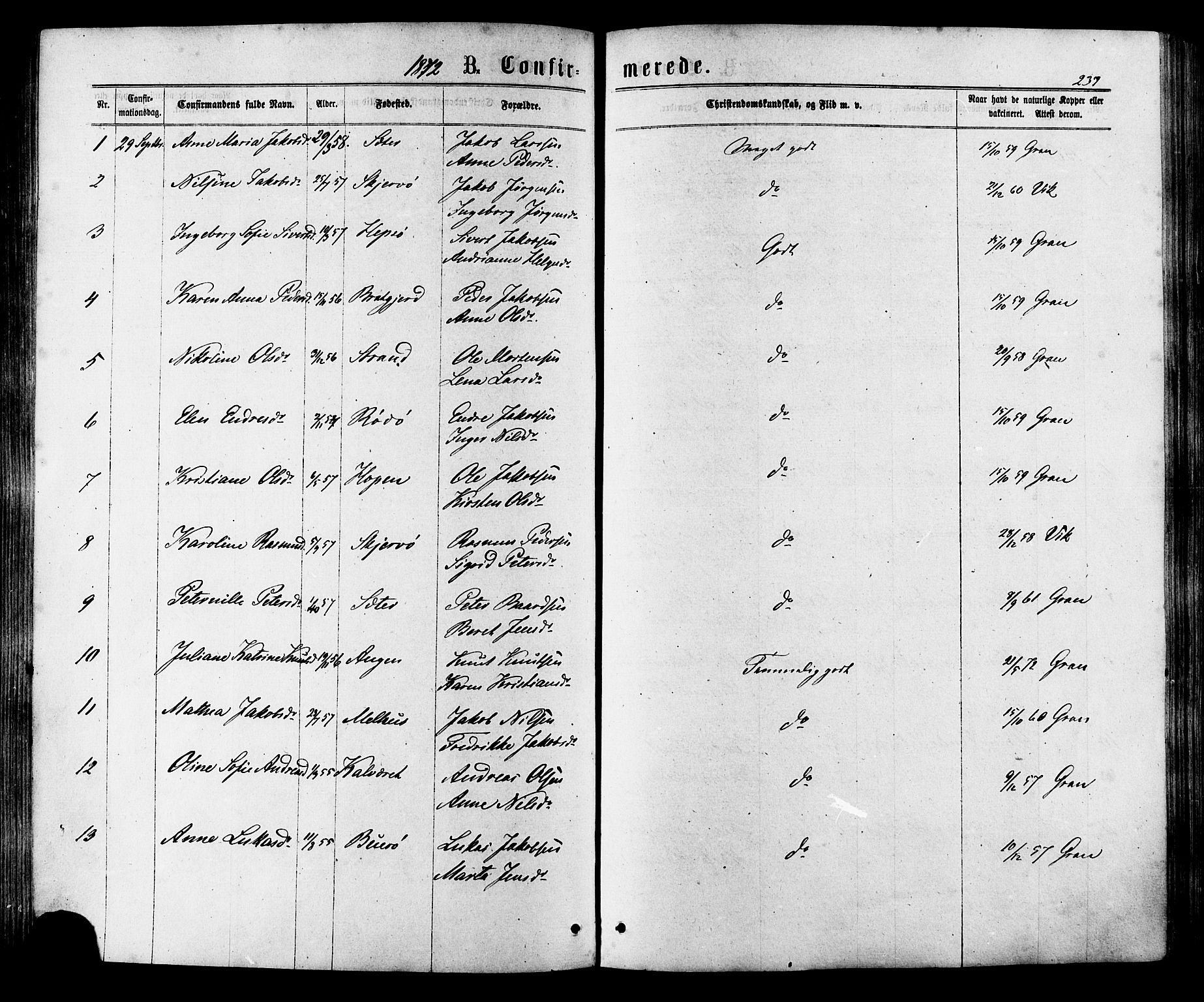Ministerialprotokoller, klokkerbøker og fødselsregistre - Sør-Trøndelag, SAT/A-1456/657/L0706: Parish register (official) no. 657A07, 1867-1878, p. 237
