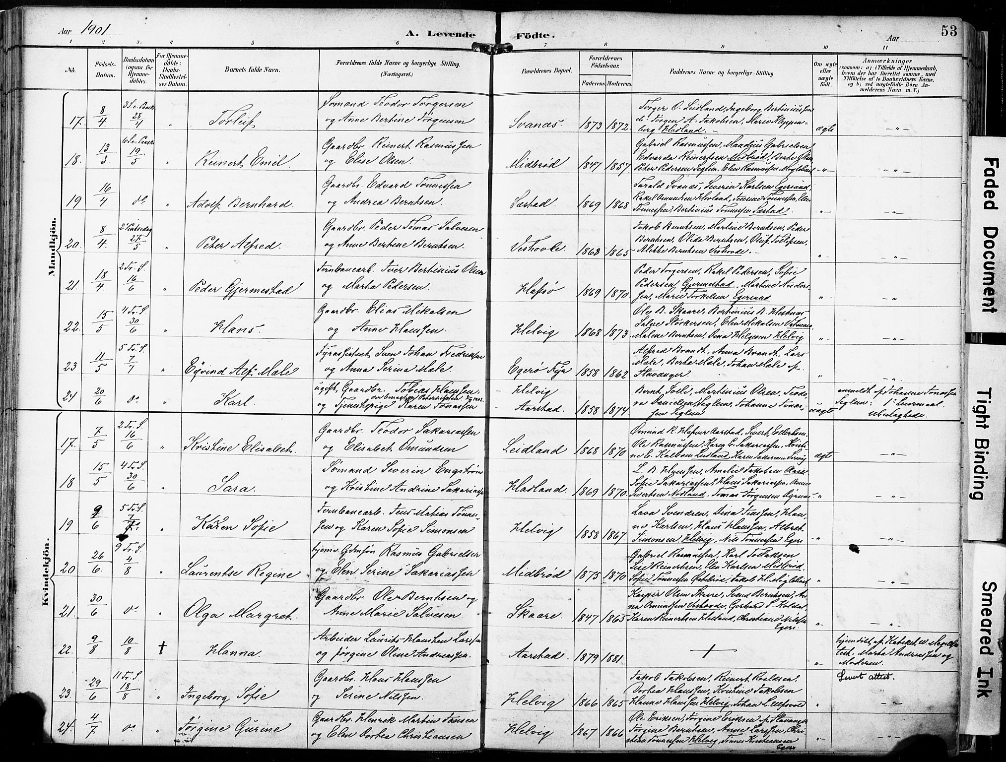 Eigersund sokneprestkontor, AV/SAST-A-101807/S08/L0018: Parish register (official) no. A 17, 1892-1905, p. 53