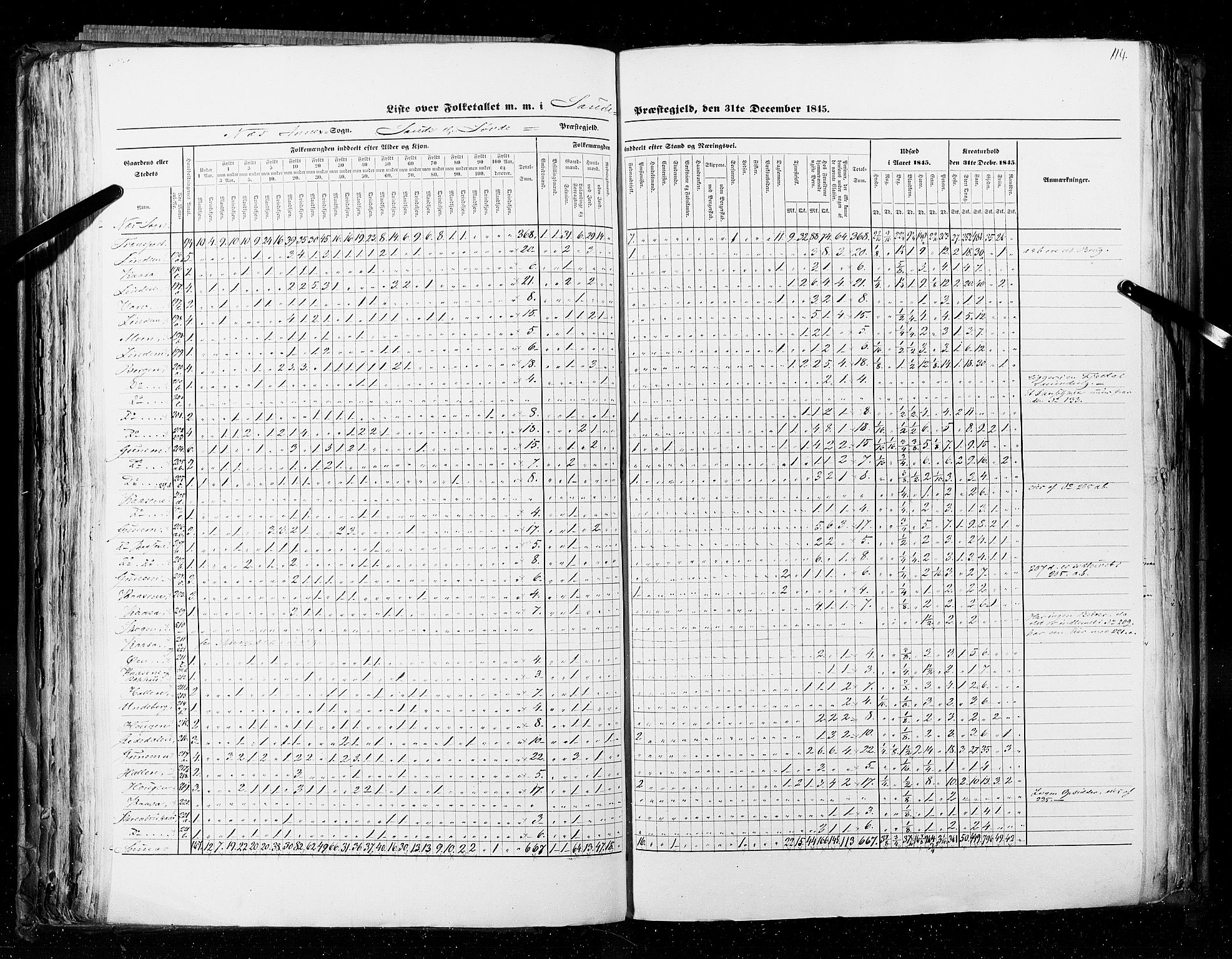 RA, Census 1845, vol. 5: Bratsberg amt og Nedenes og Råbyggelaget amt, 1845, p. 114