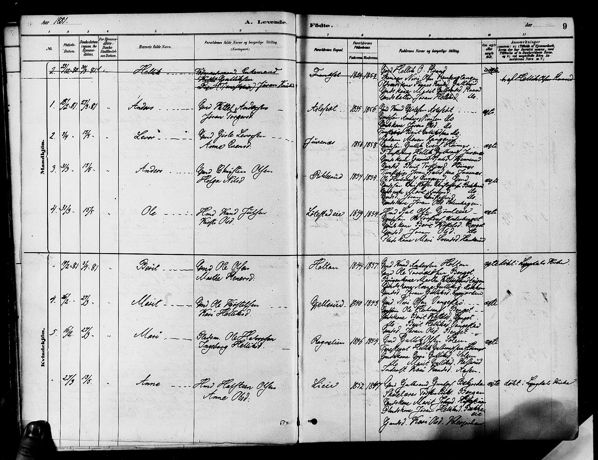 Flesberg kirkebøker, SAKO/A-18/F/Fa/L0008: Parish register (official) no. I 8, 1879-1899, p. 9