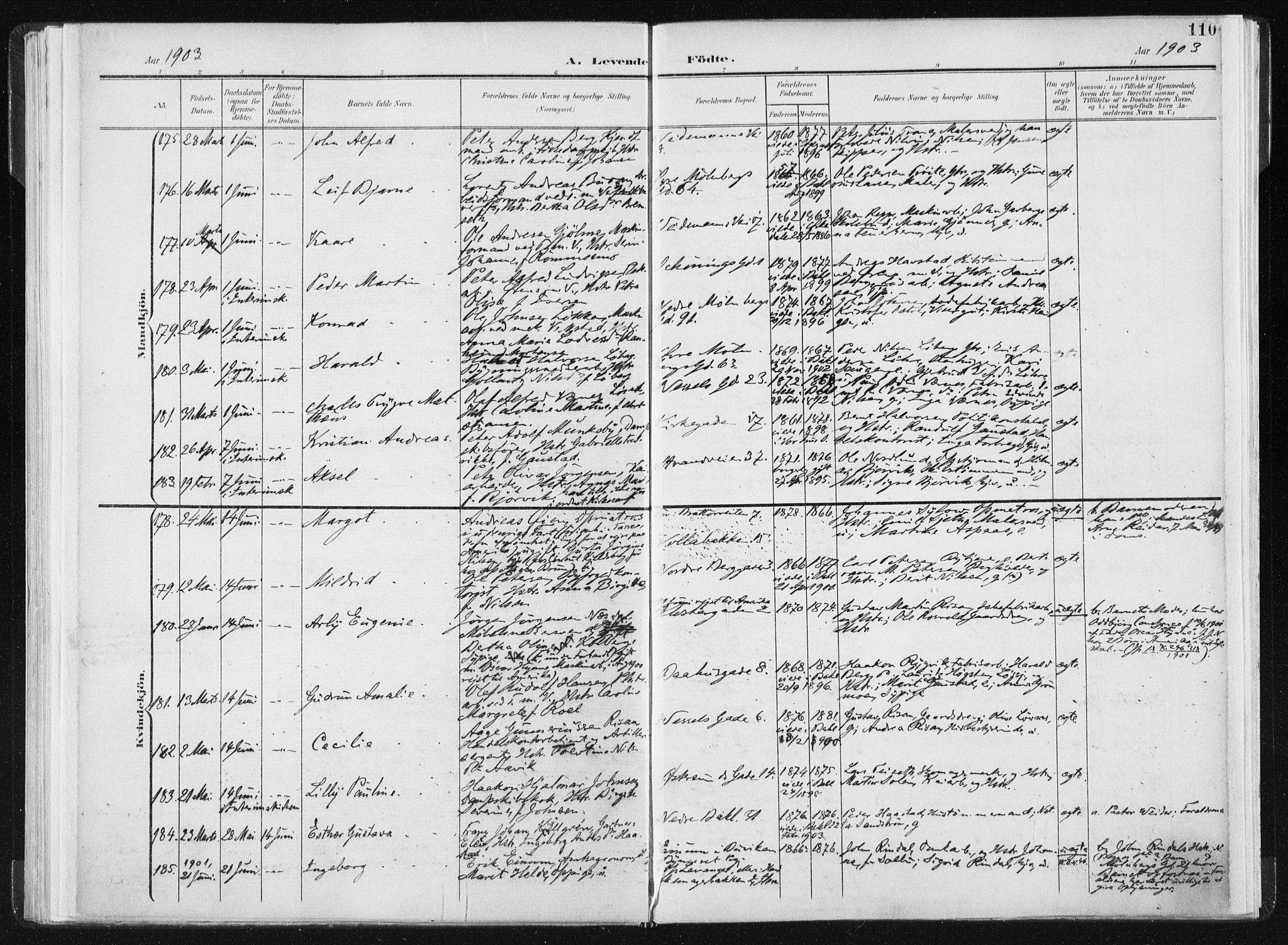 Ministerialprotokoller, klokkerbøker og fødselsregistre - Sør-Trøndelag, SAT/A-1456/604/L0199: Parish register (official) no. 604A20I, 1901-1906, p. 110