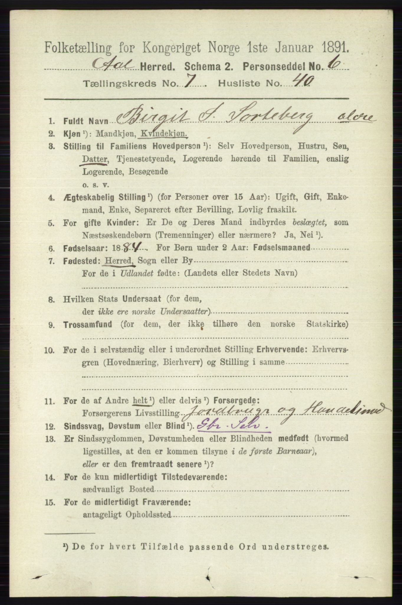 RA, 1891 census for 0619 Ål, 1891, p. 2009