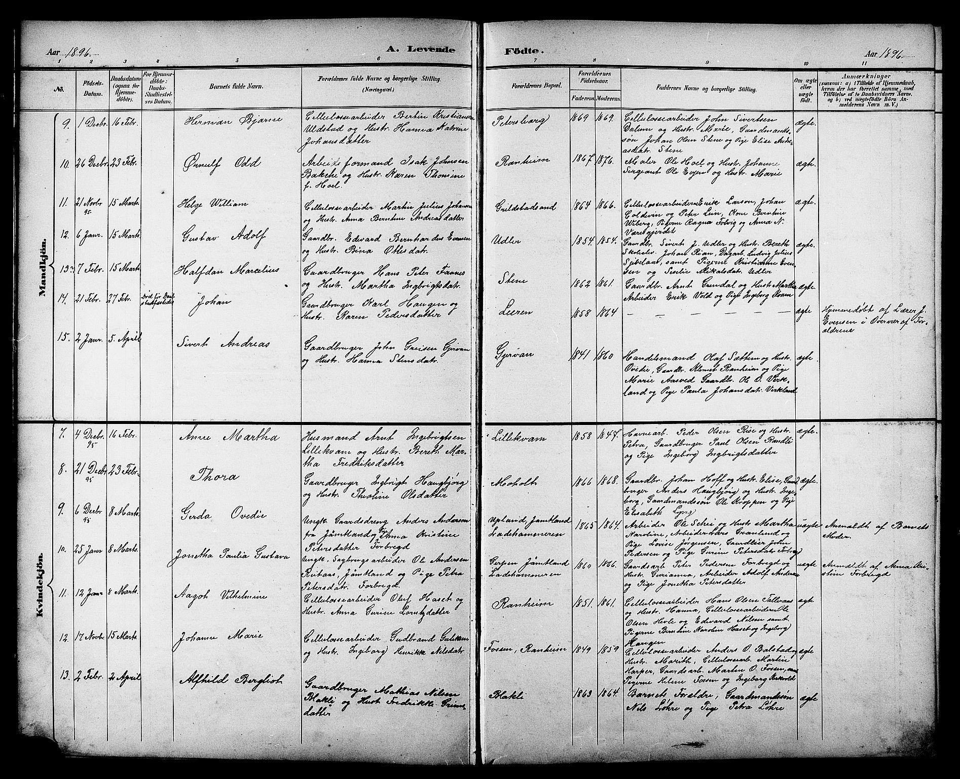 Ministerialprotokoller, klokkerbøker og fødselsregistre - Sør-Trøndelag, AV/SAT-A-1456/606/L0313: Parish register (copy) no. 606C09, 1895-1910