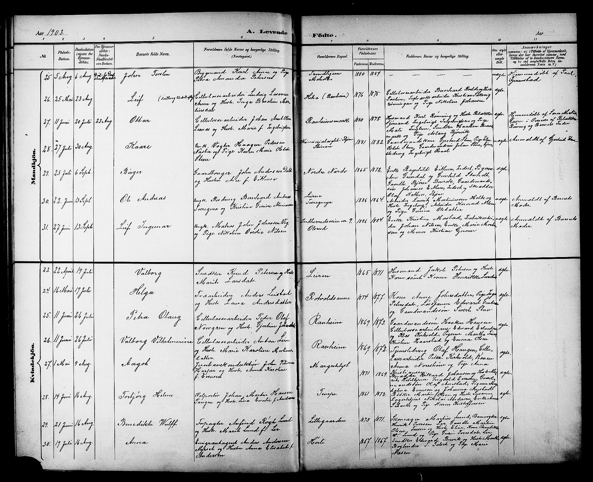 Ministerialprotokoller, klokkerbøker og fødselsregistre - Sør-Trøndelag, AV/SAT-A-1456/606/L0313: Parish register (copy) no. 606C09, 1895-1910