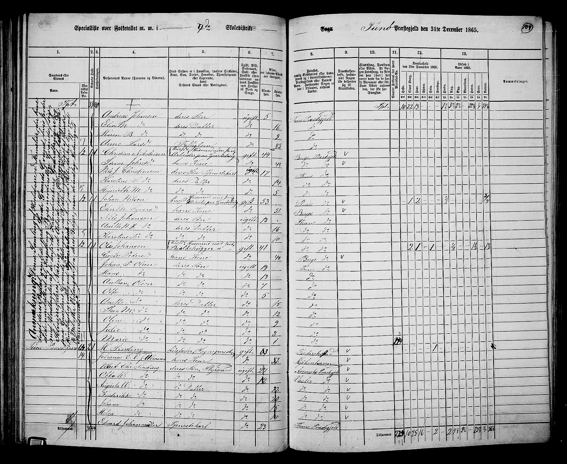 RA, 1865 census for Tune, 1865, p. 102