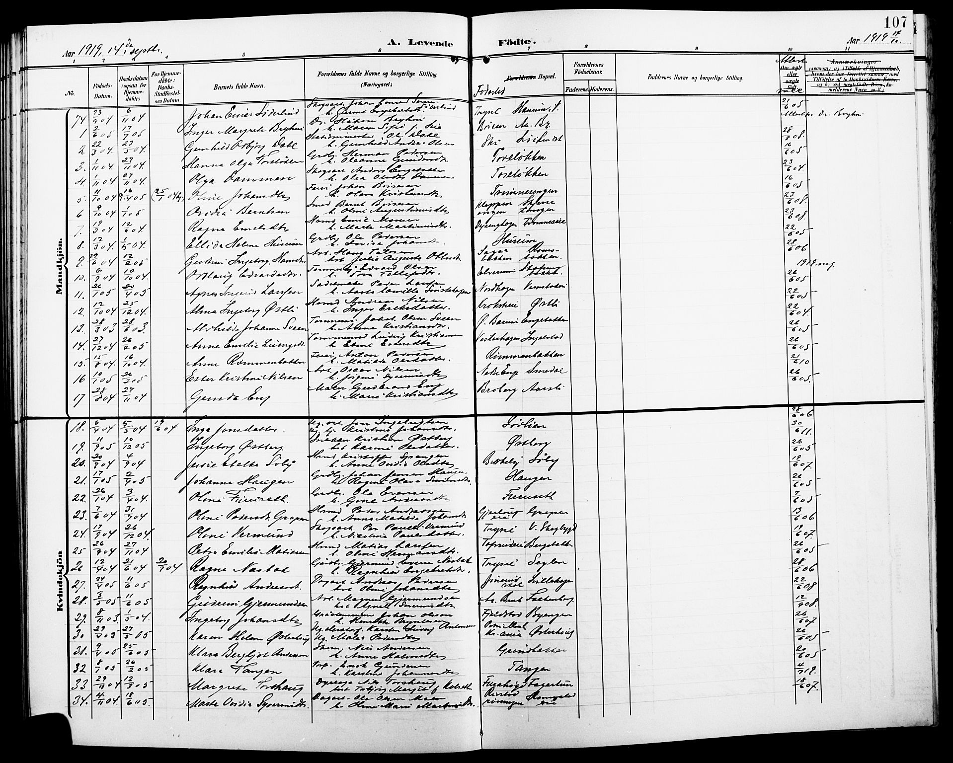 Løten prestekontor, AV/SAH-PREST-022/L/La/L0007: Parish register (copy) no. 7, 1910-1919, p. 107