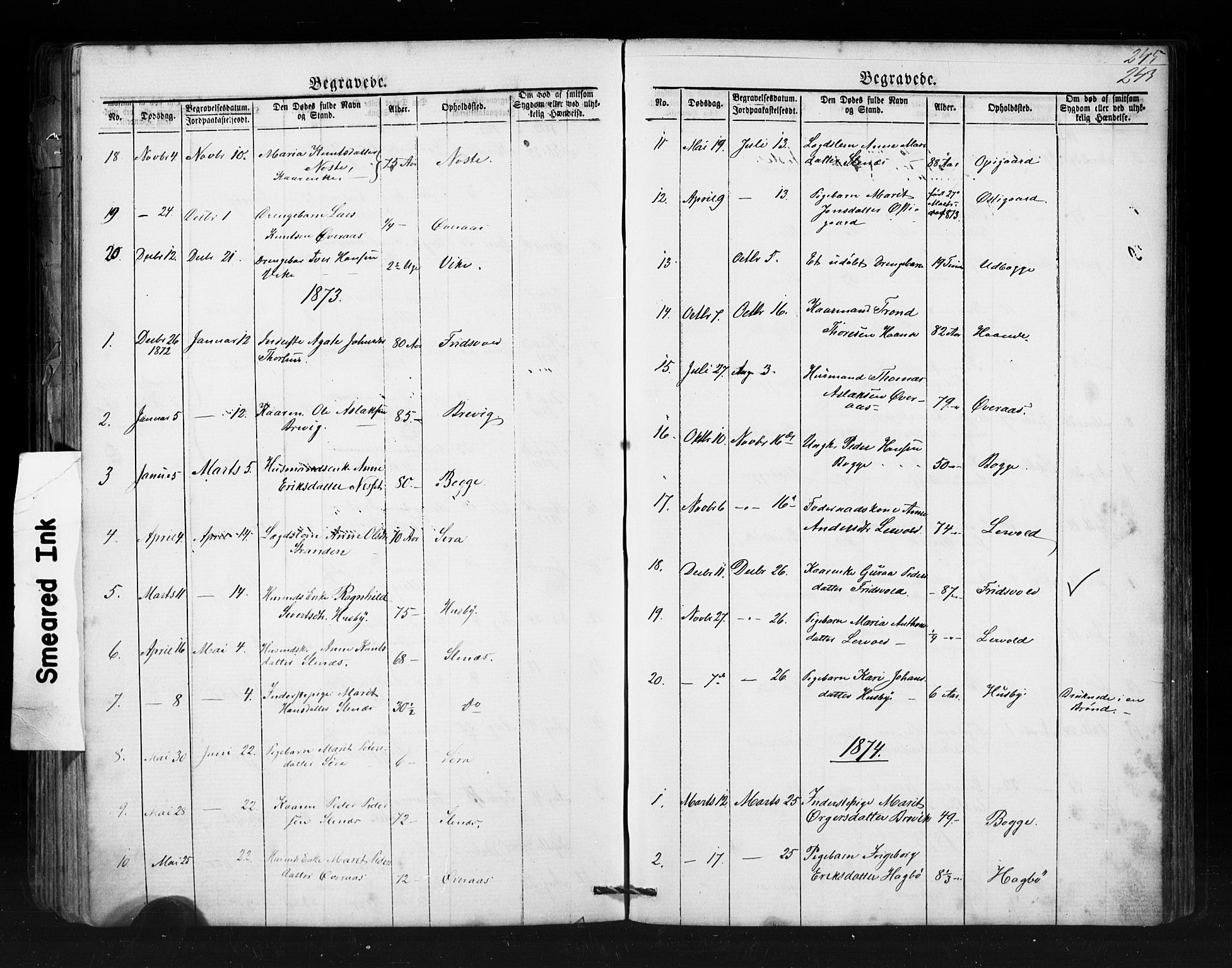 Ministerialprotokoller, klokkerbøker og fødselsregistre - Møre og Romsdal, AV/SAT-A-1454/552/L0638: Parish register (copy) no. 552C01, 1867-1902, p. 243