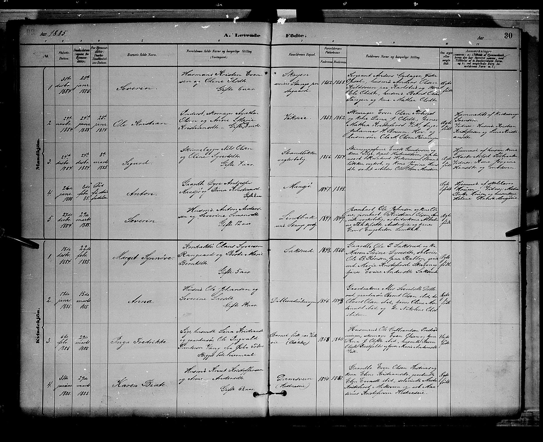 Stange prestekontor, SAH/PREST-002/L/L0008: Parish register (copy) no. 8, 1882-1895, p. 30